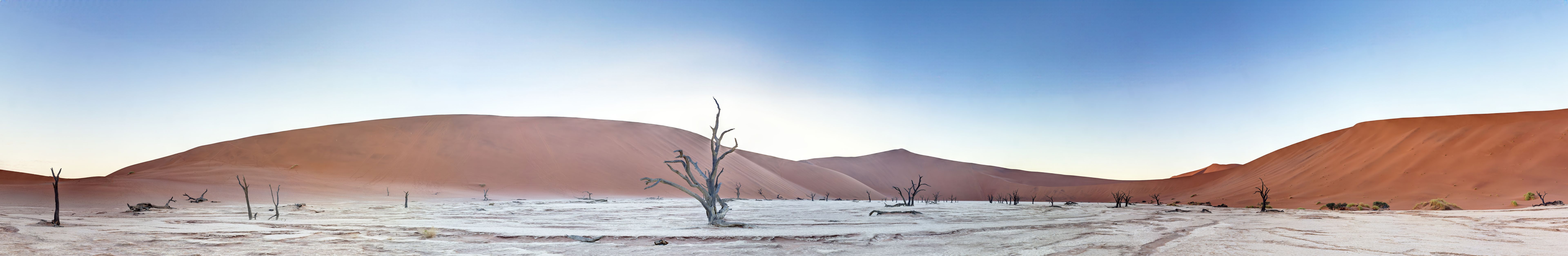 Panoramic picture of the Deadvlei salt pan in the Namib Desert with dead trees in front of red sand dunes in the morning light