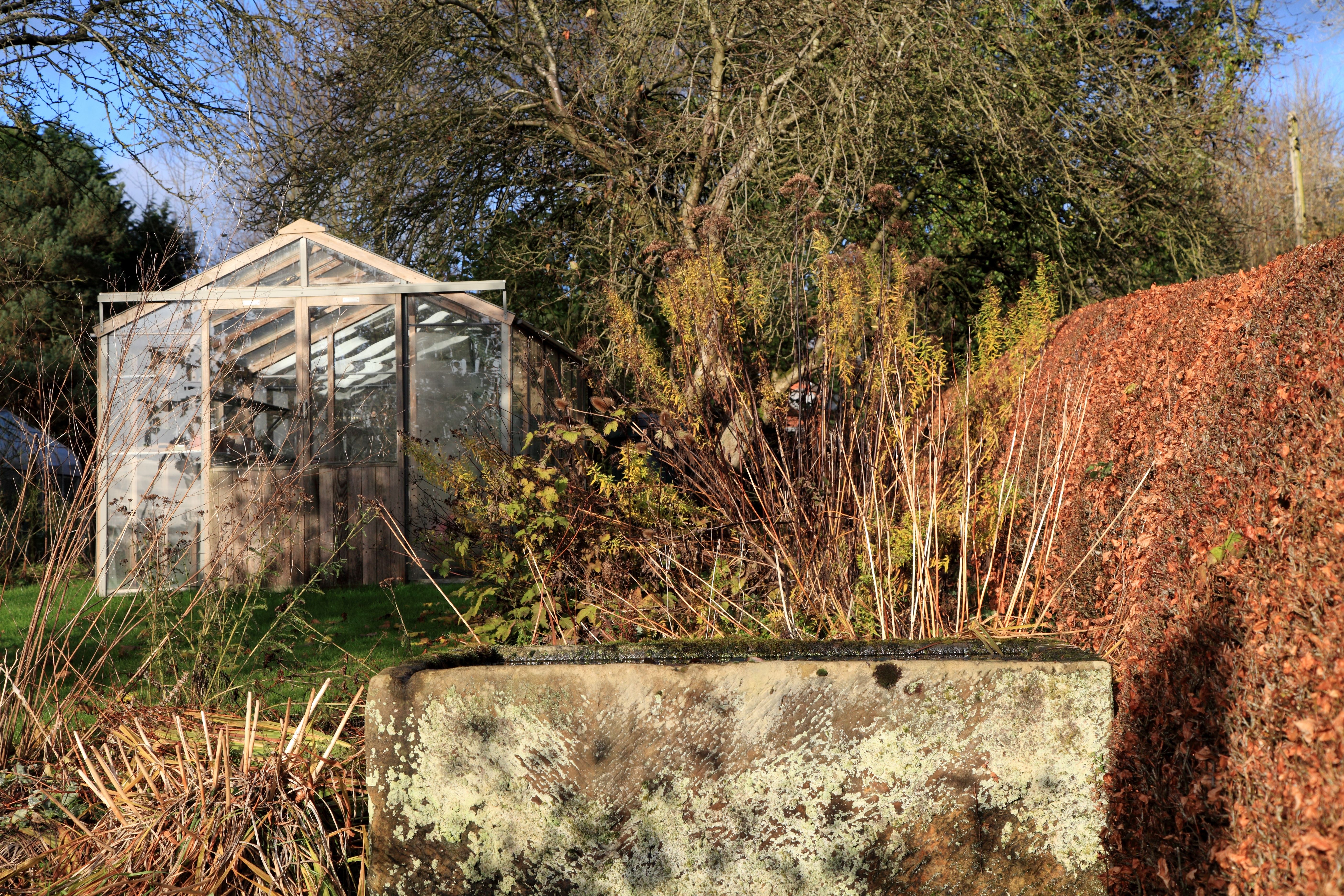 winter garden