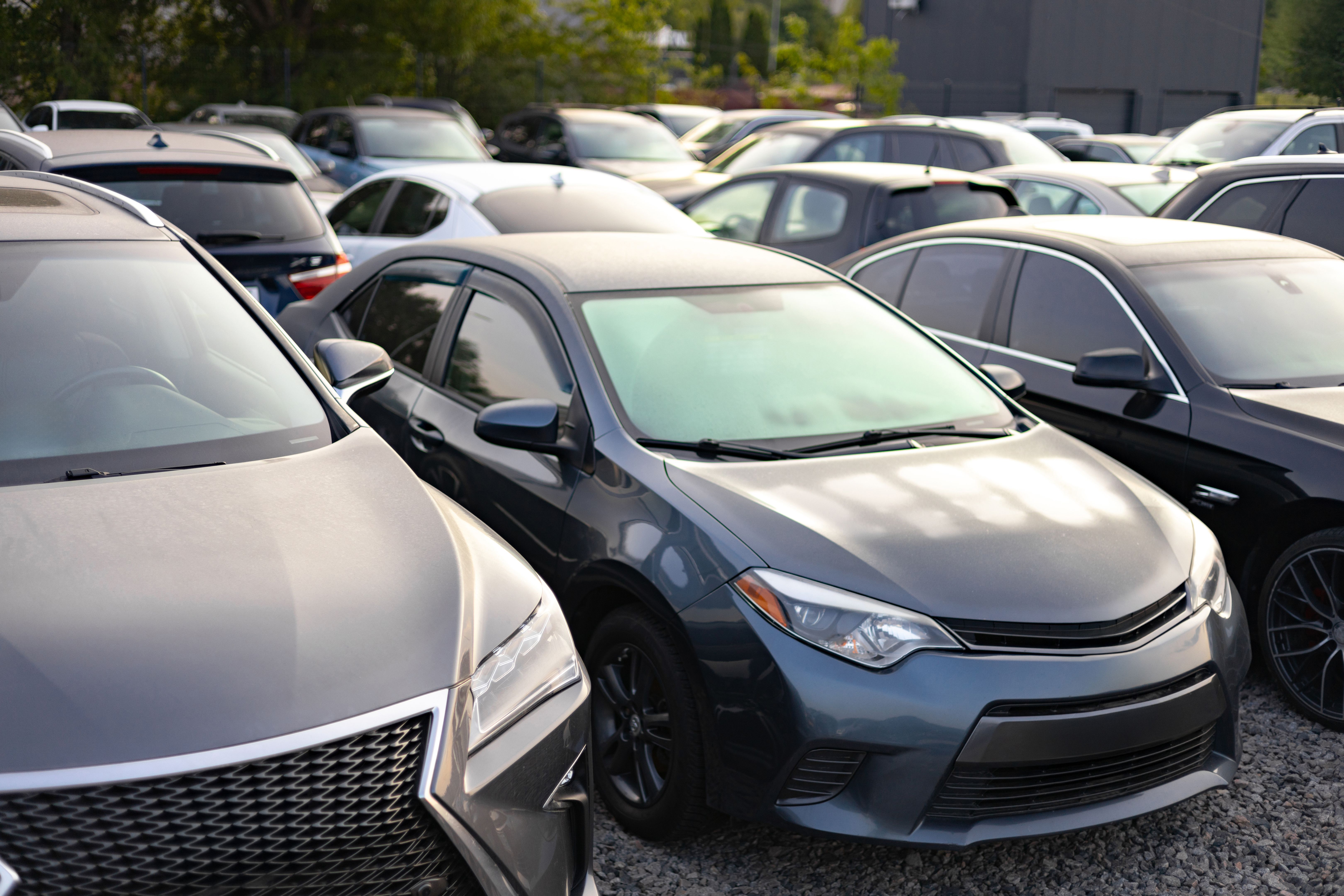 Cars Lined Up for Sale