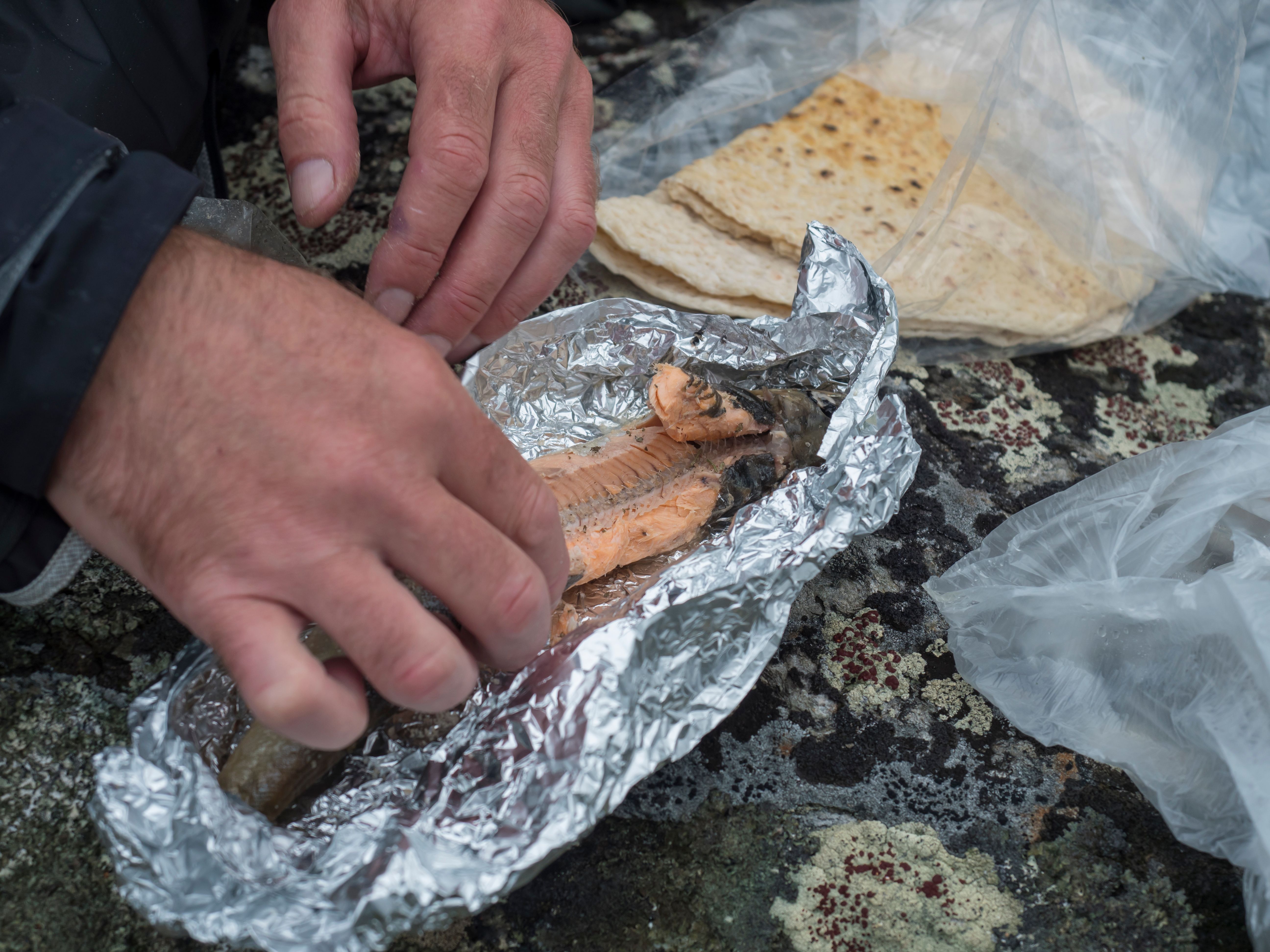 sami food