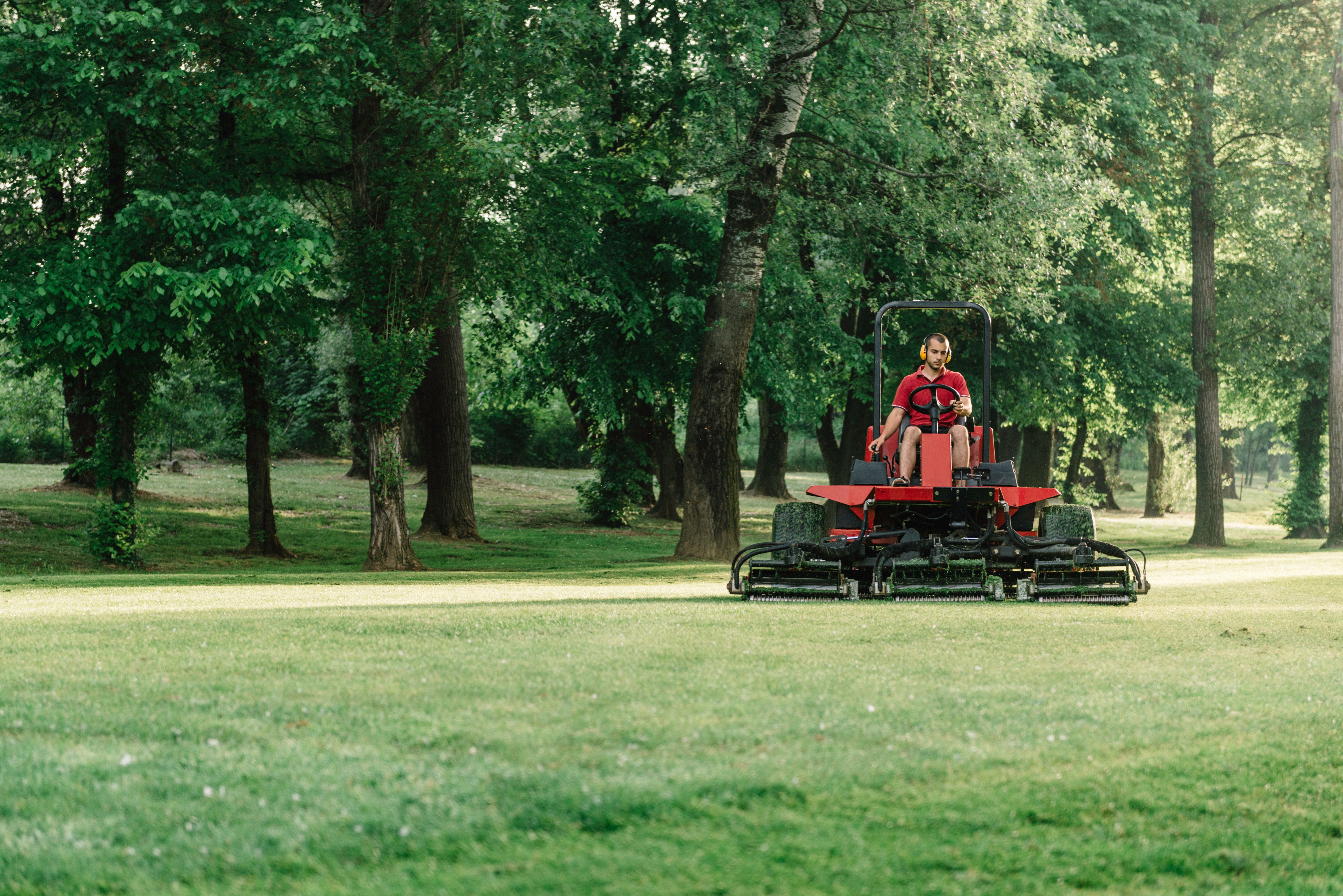 landscaping maintenance
