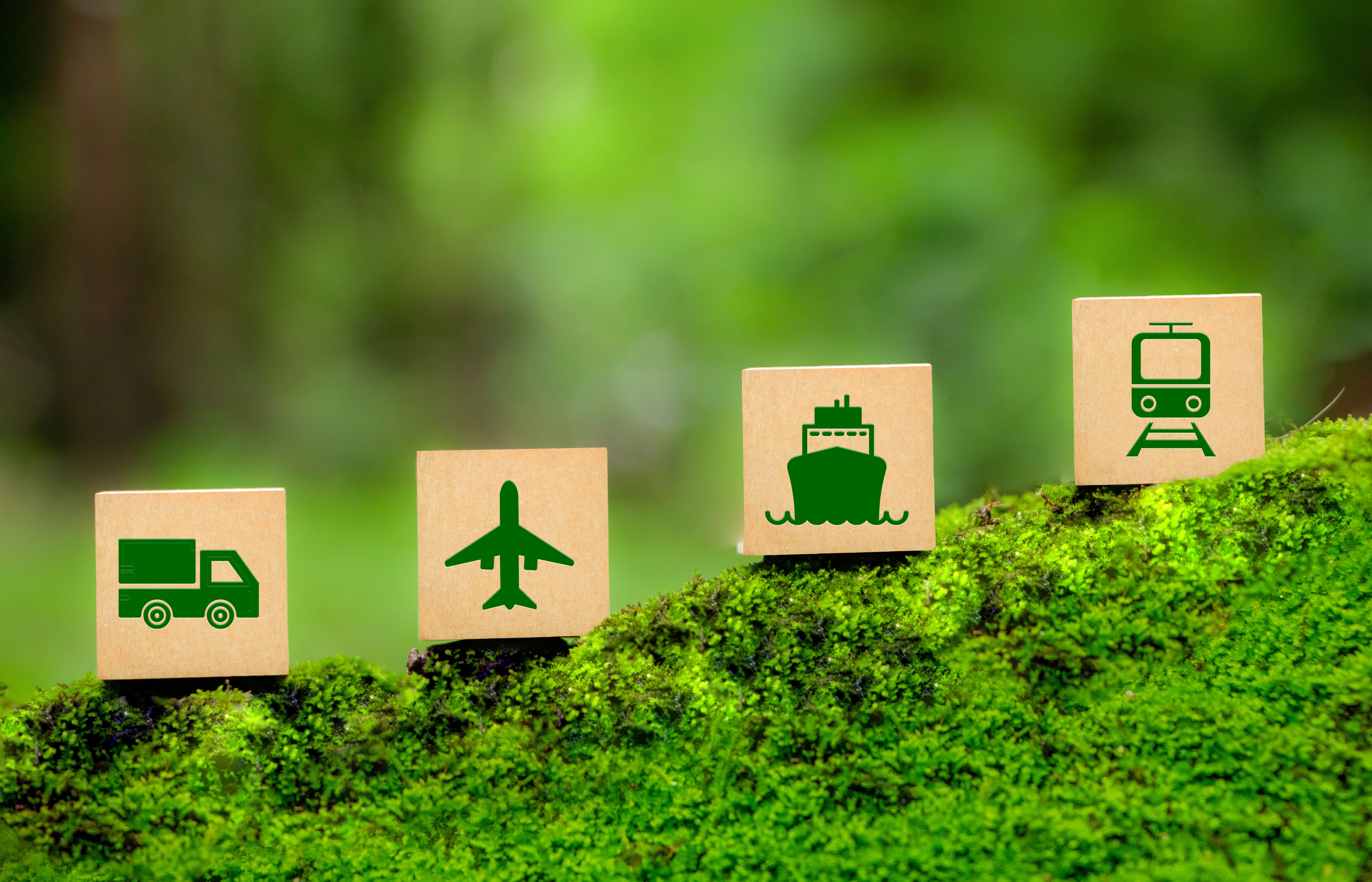 supply chain efficiency