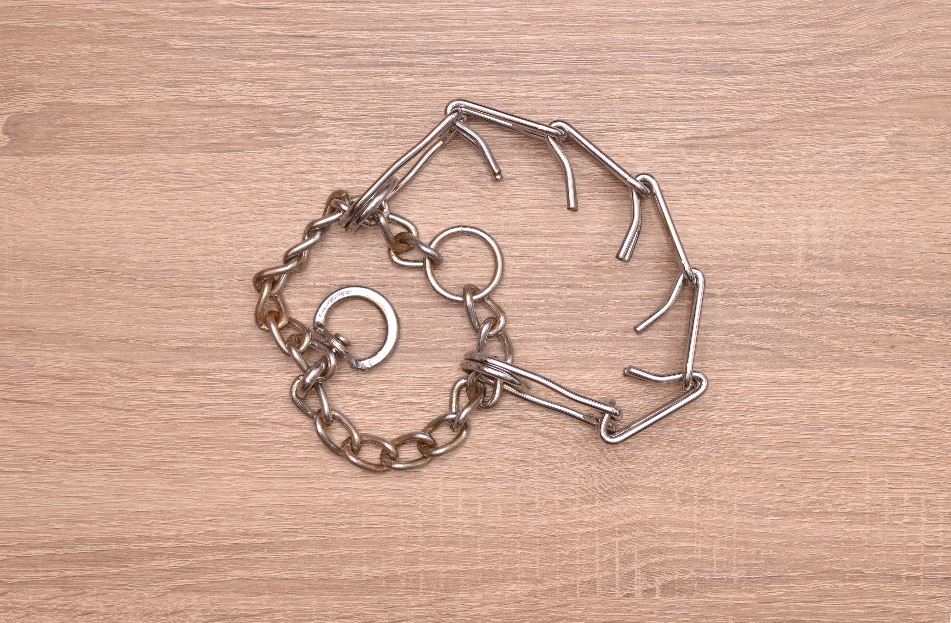 Prong Training Collar
