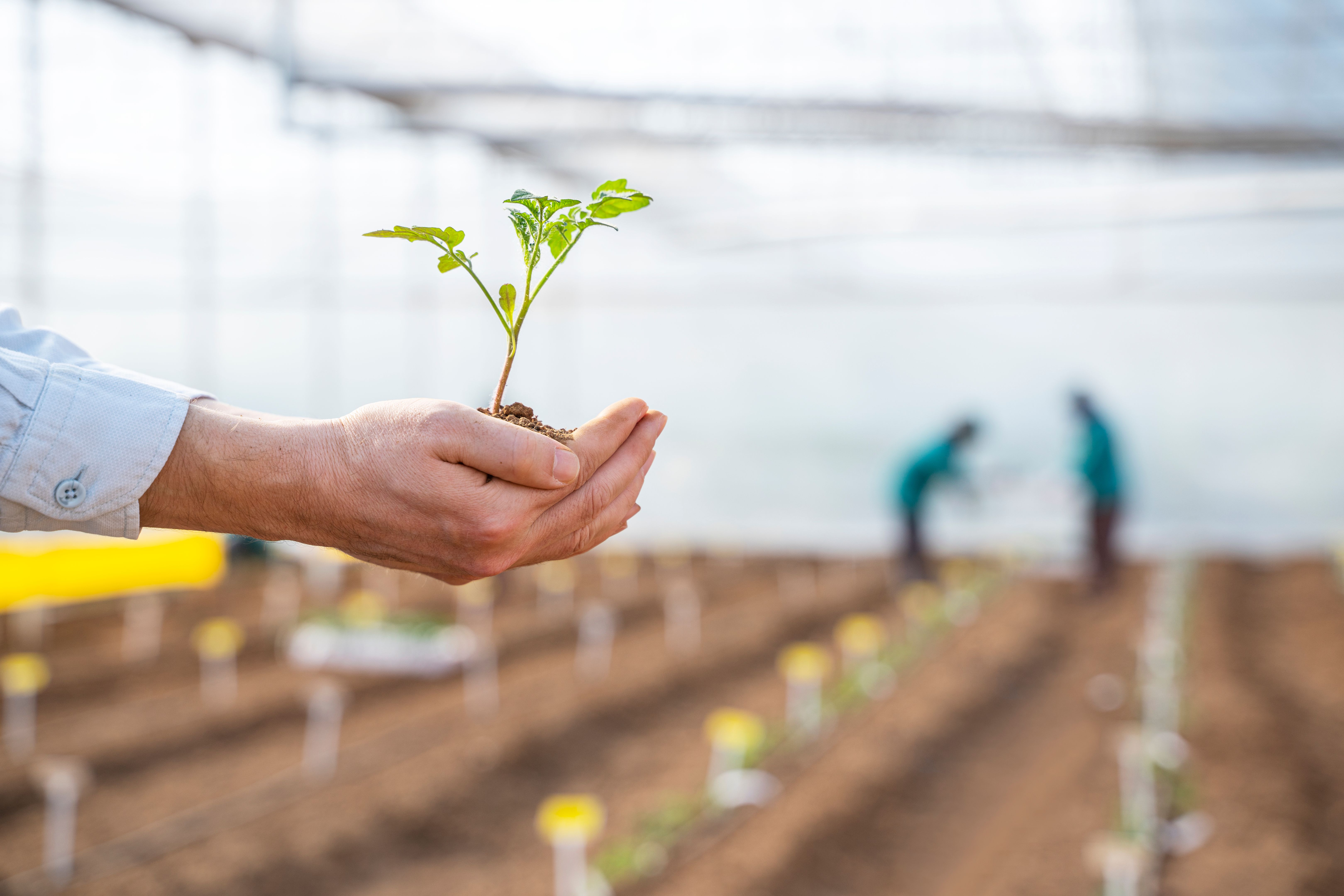 sostenibilidad eventos