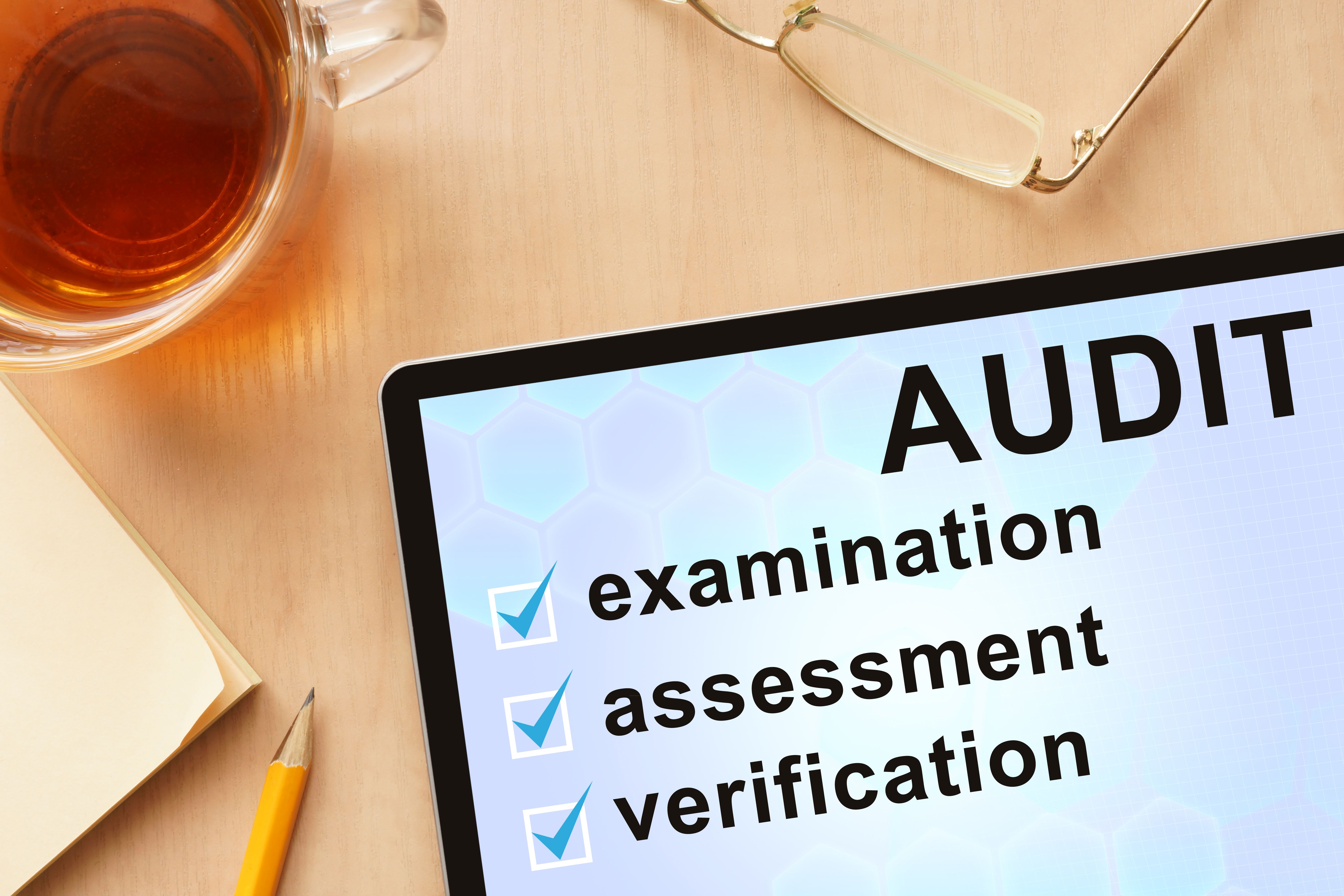 pre-audit assessment