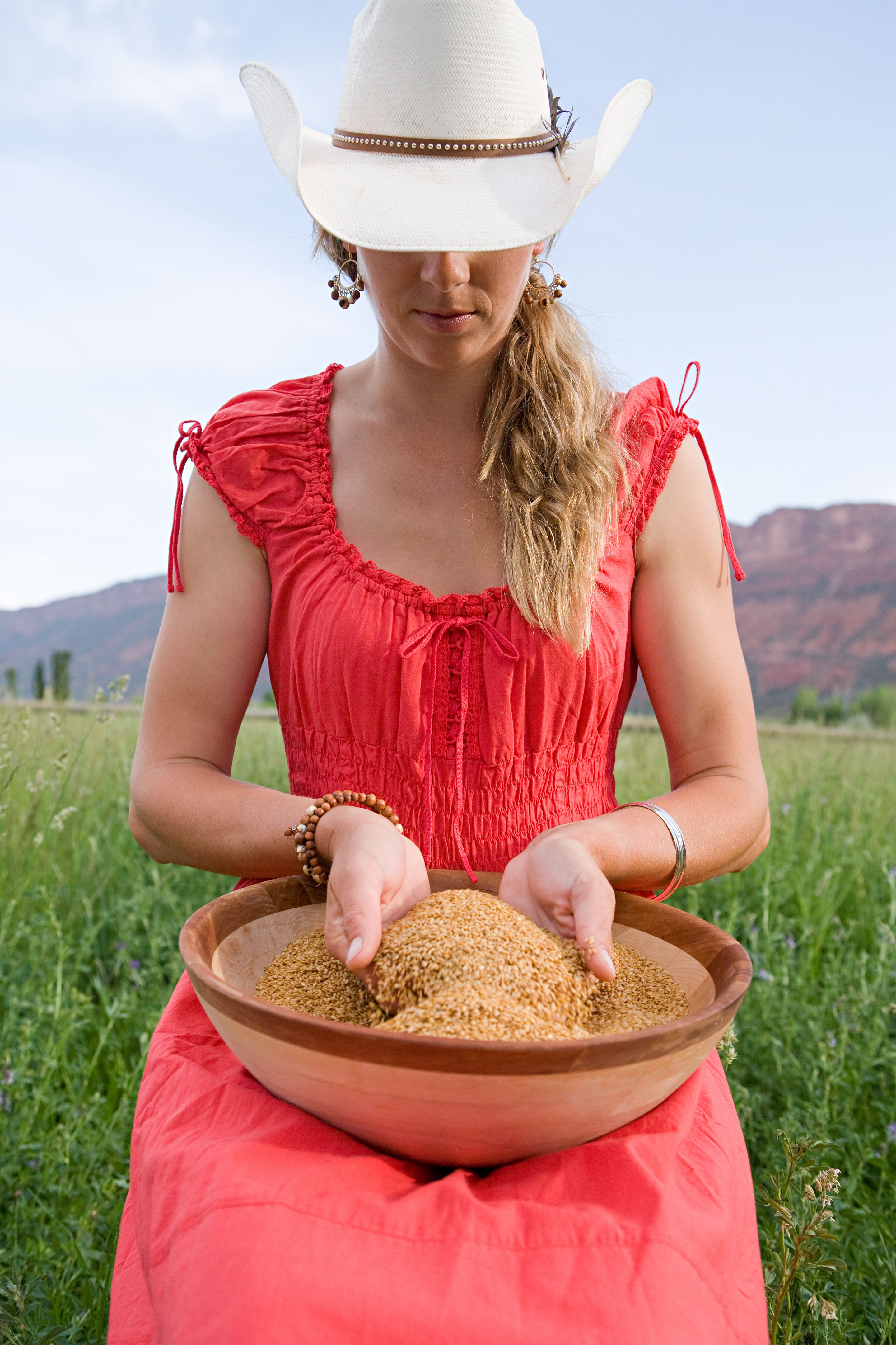 agriculture land