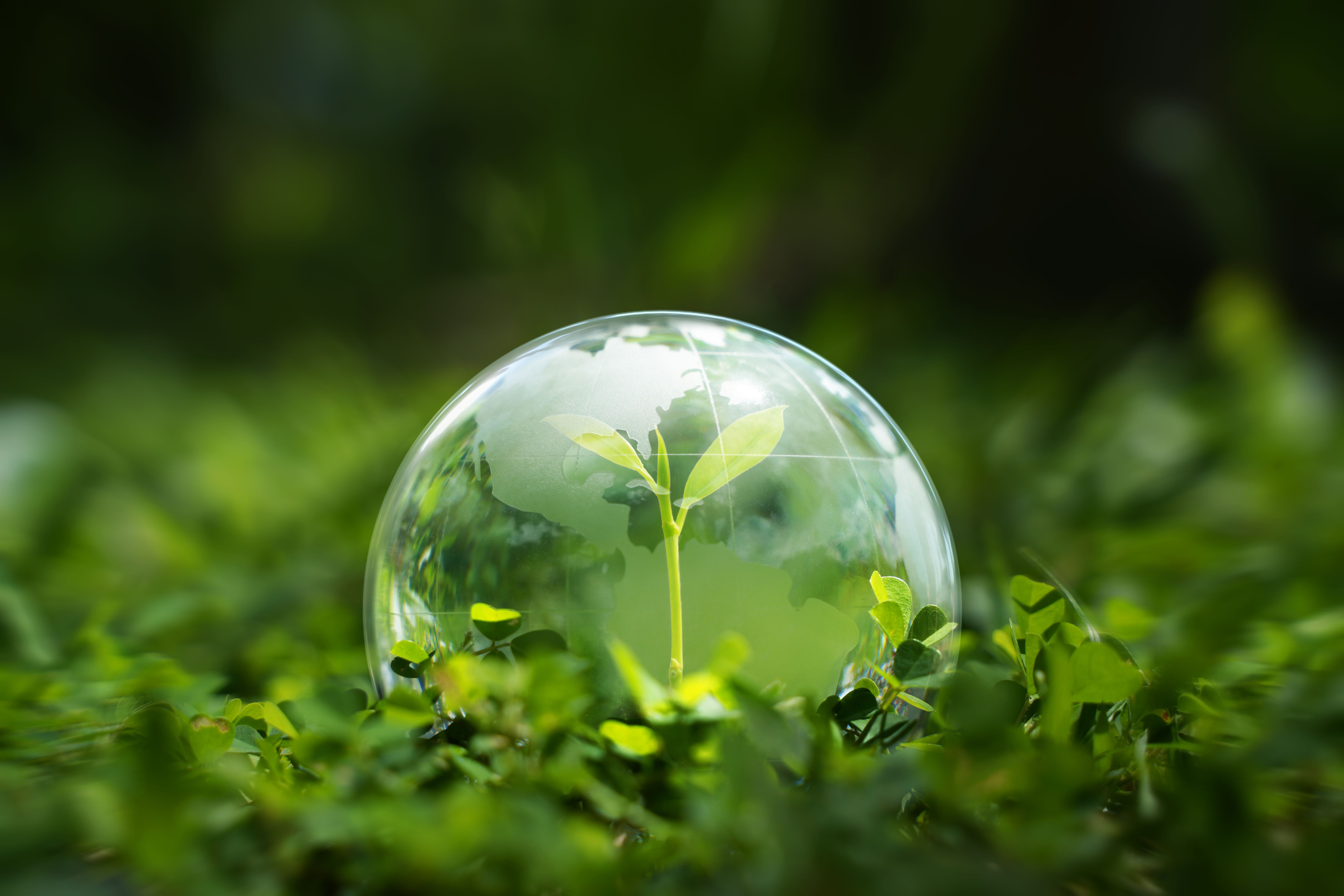 arlington texas climate