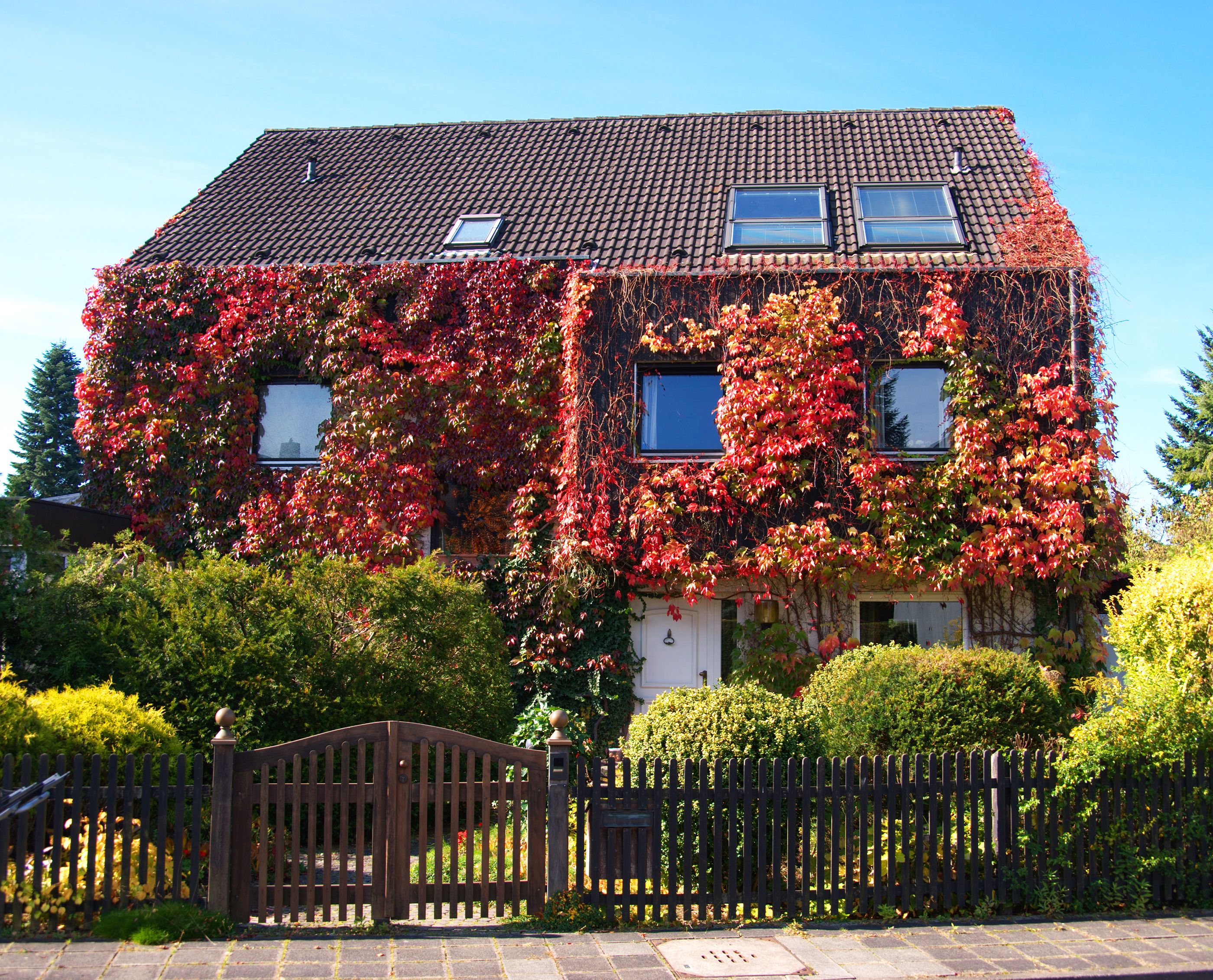 herbstarbeiten haus