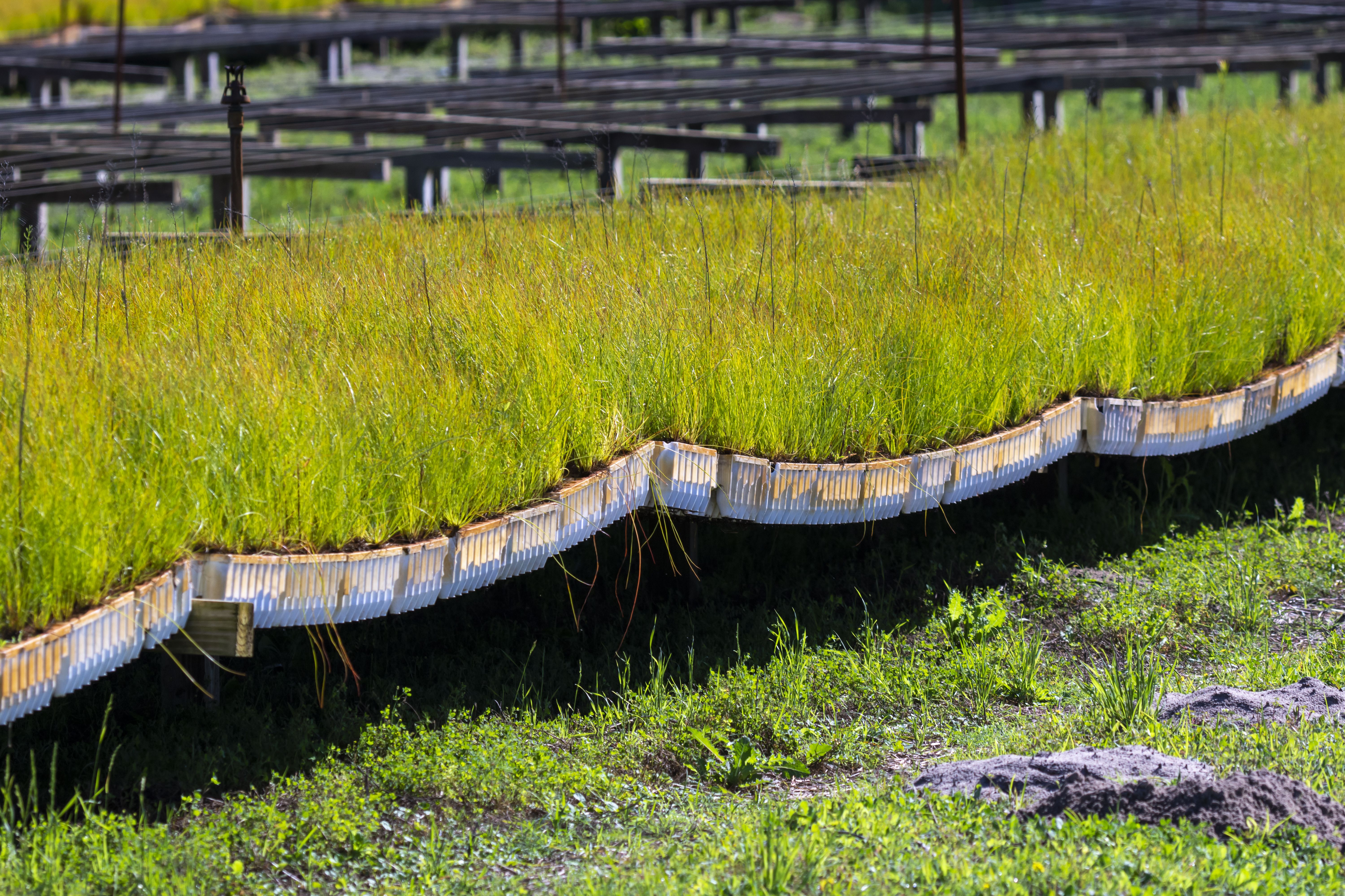 sostenibilità ambientale