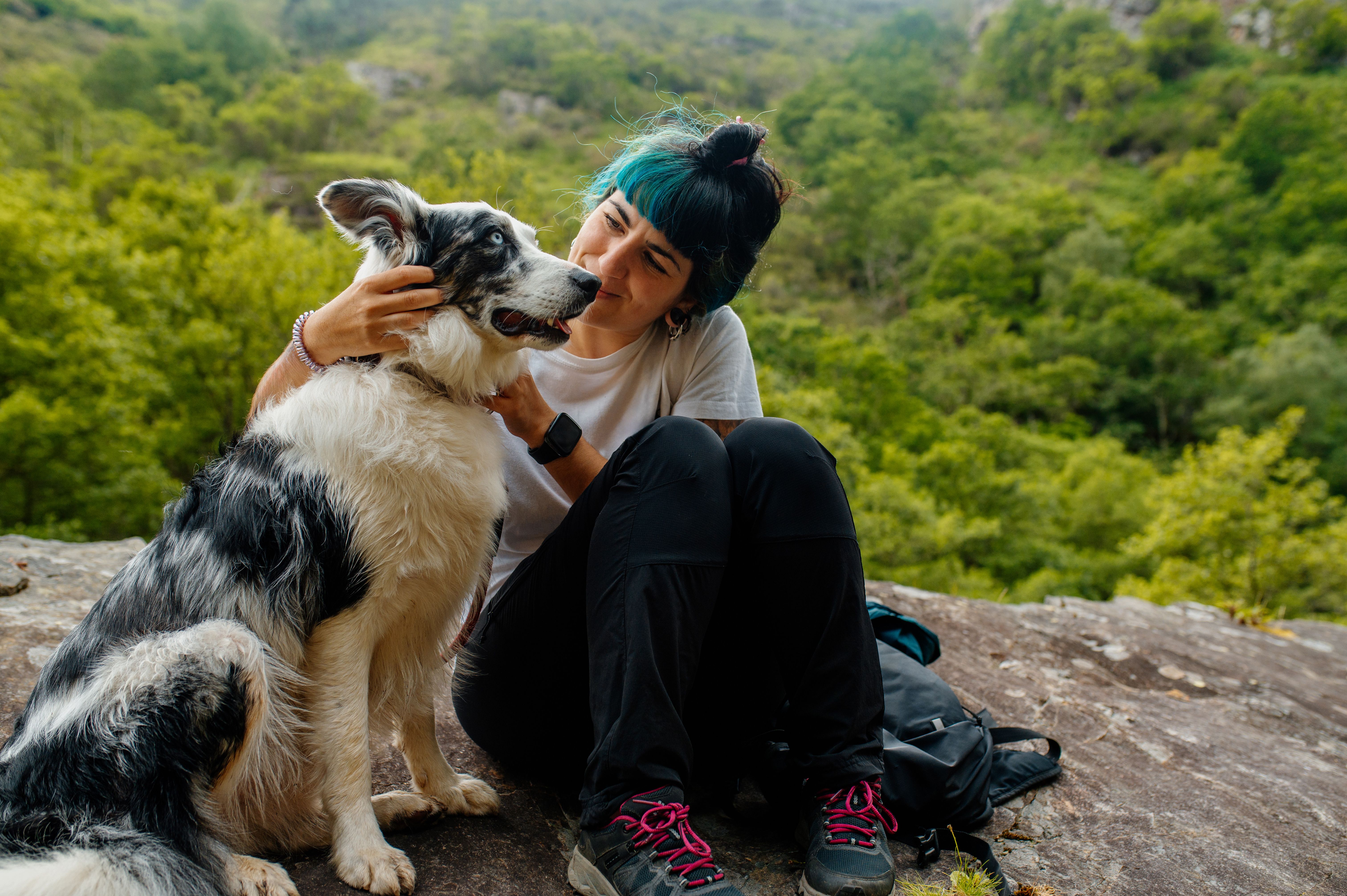 dog hiking