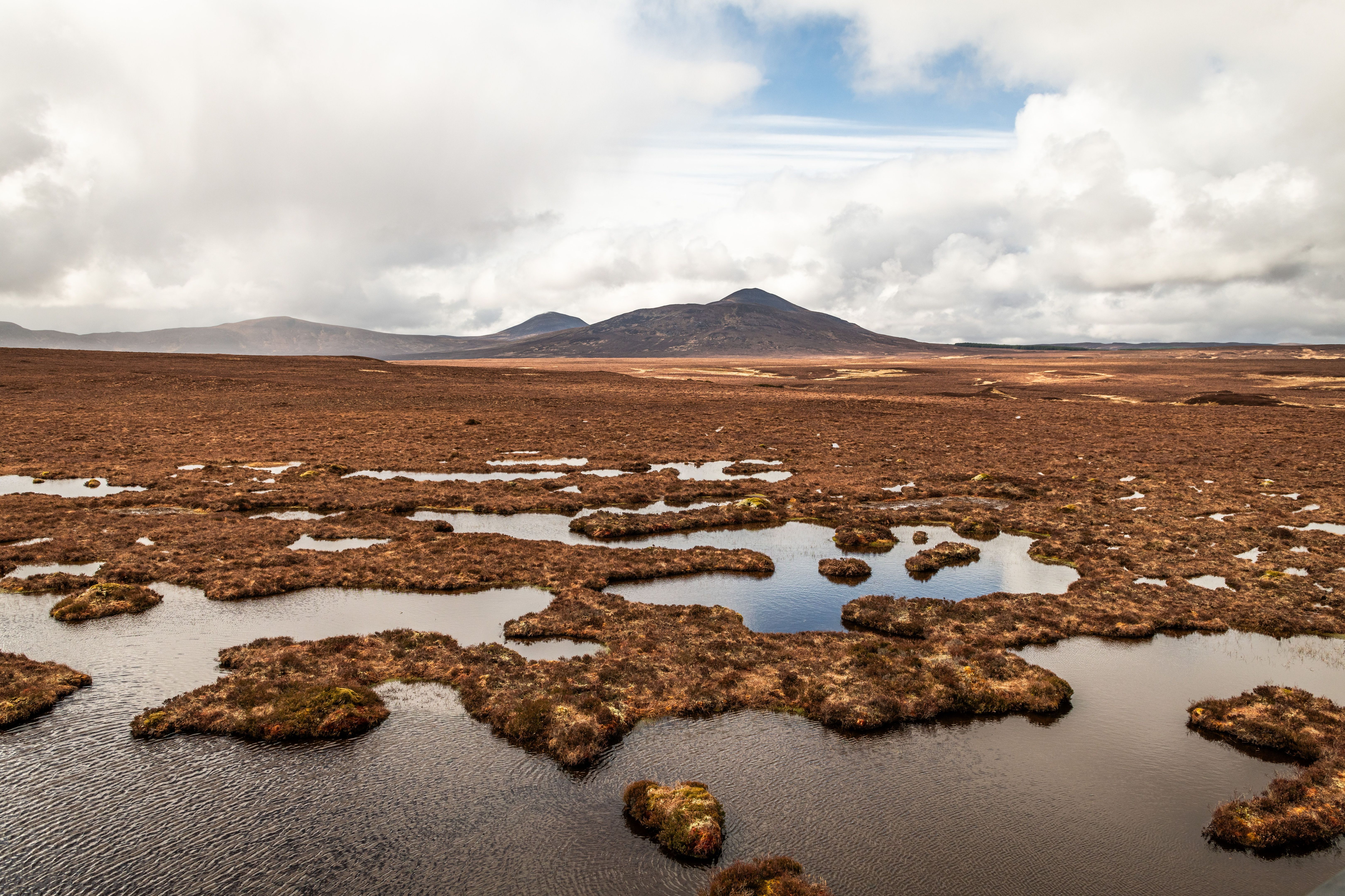Scenic view of a wetland with patches of water and distant mountains under a cloudy sky