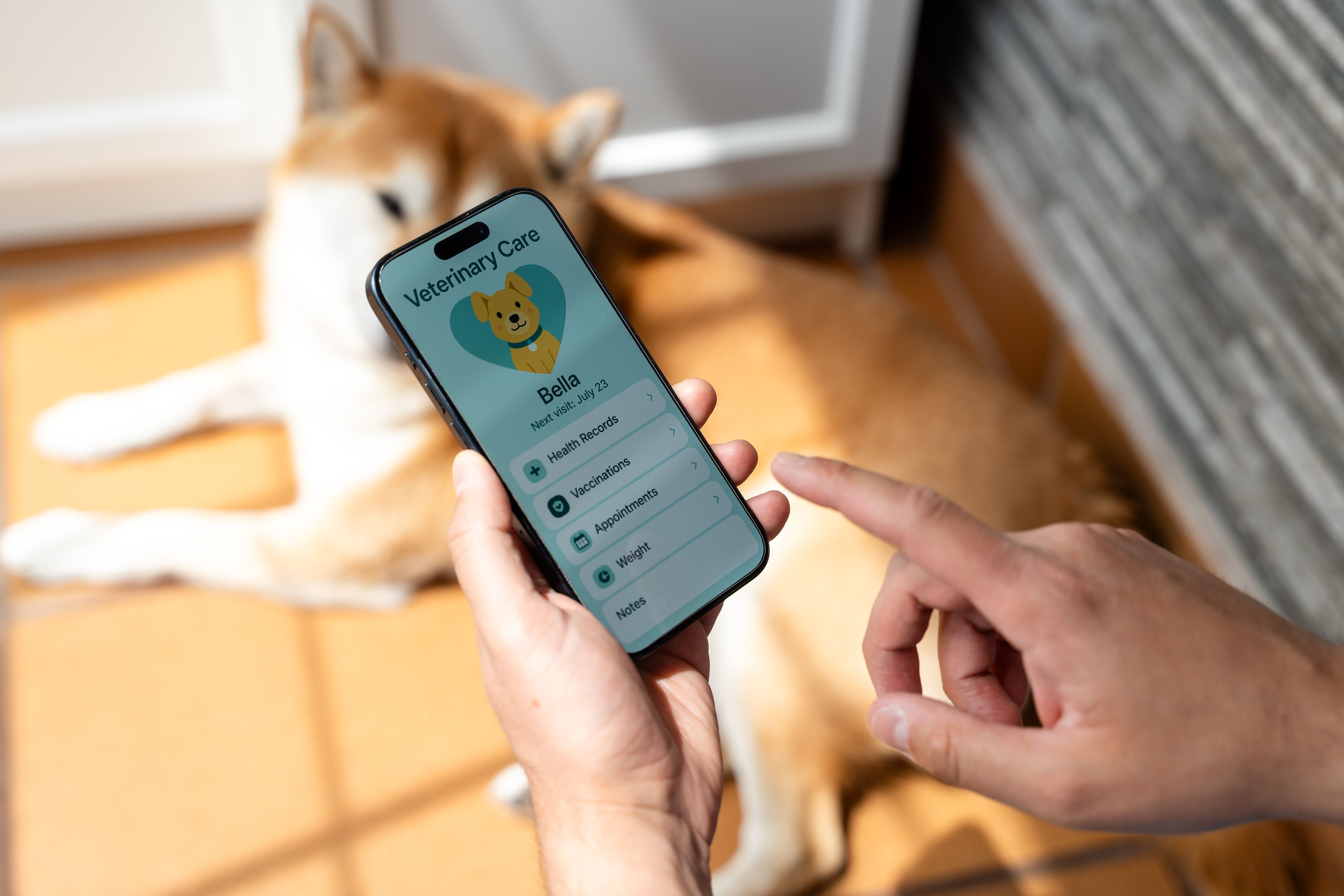 pet wellness