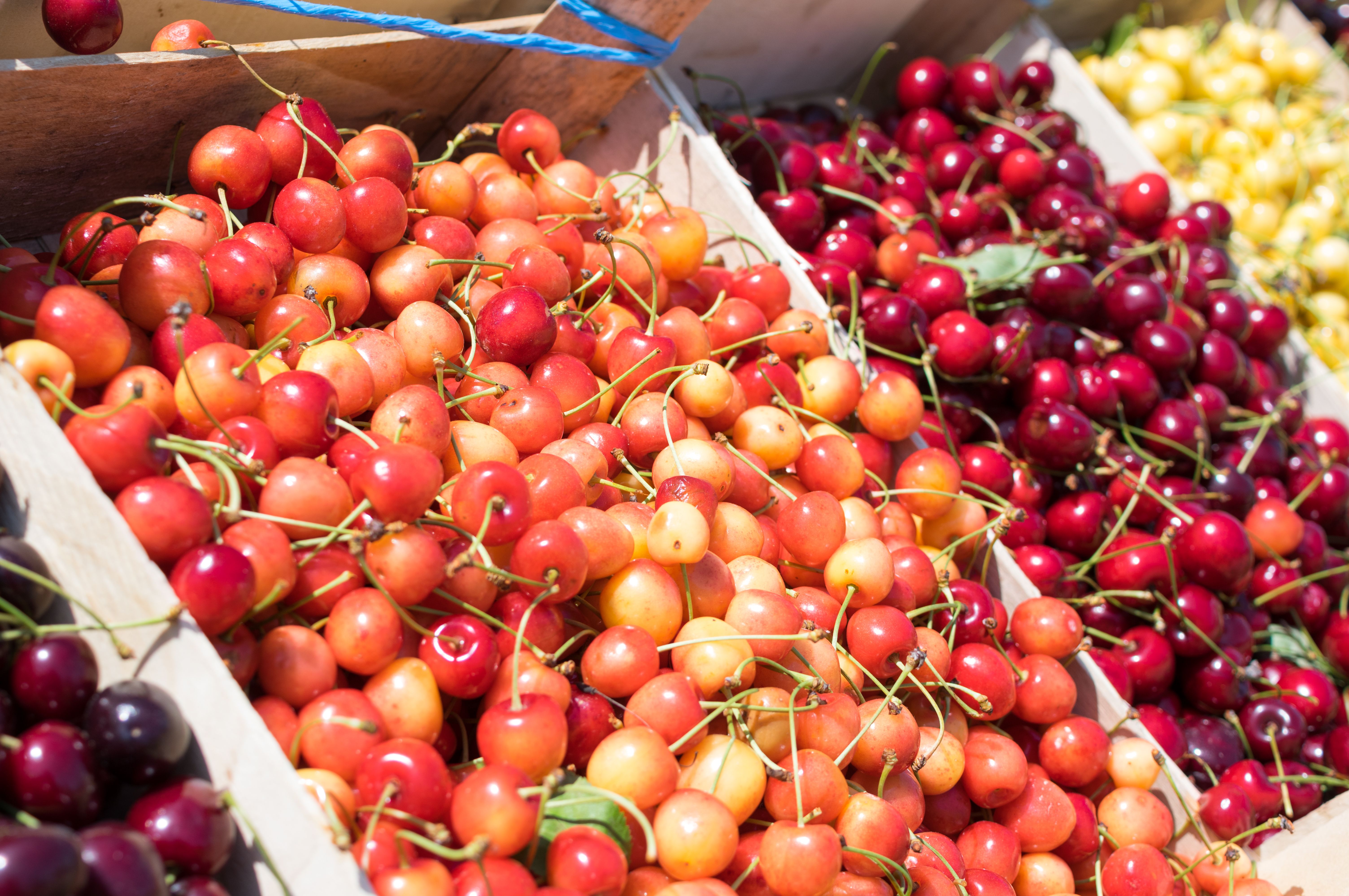 cherry festival