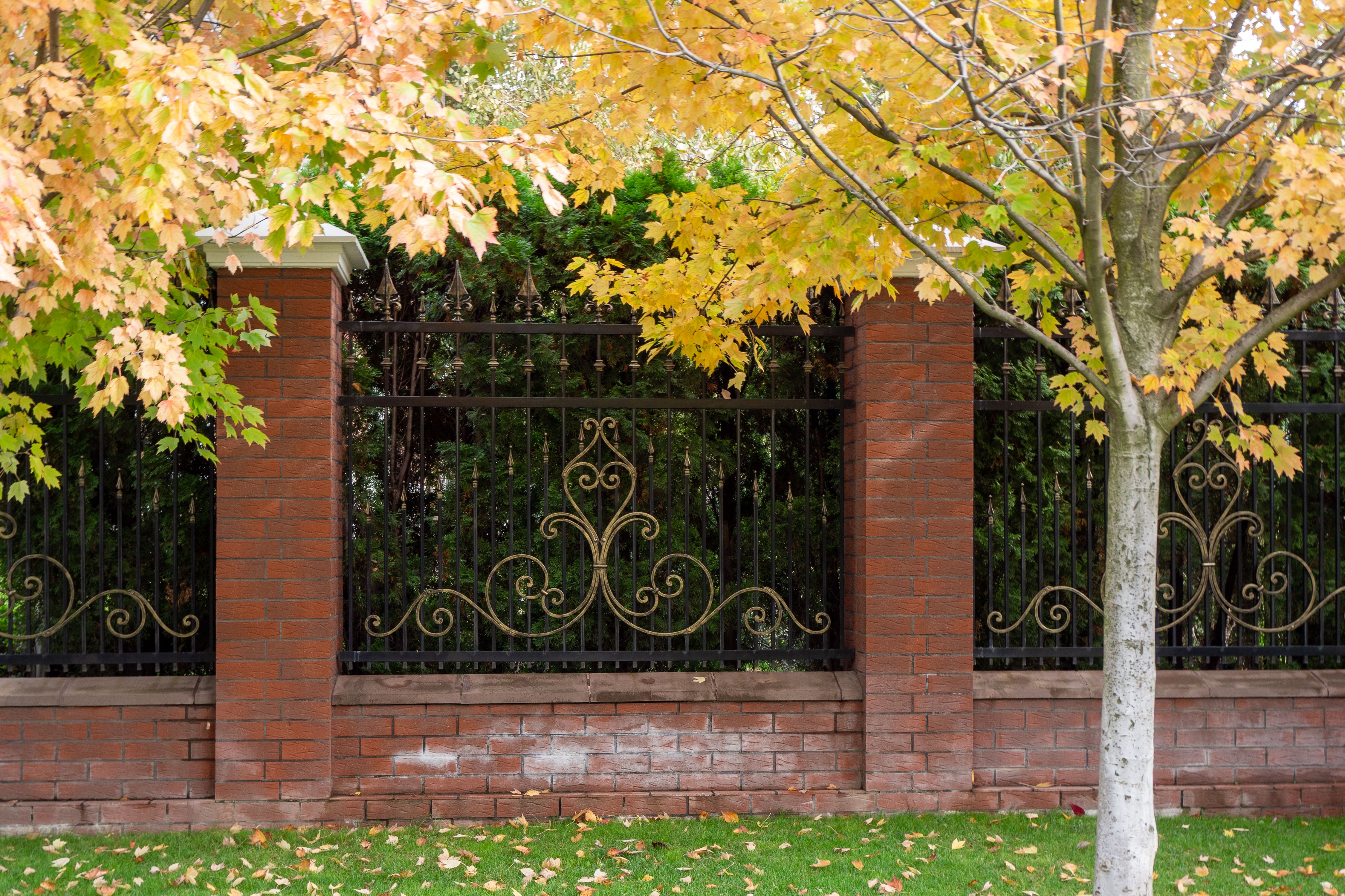 custom fence design