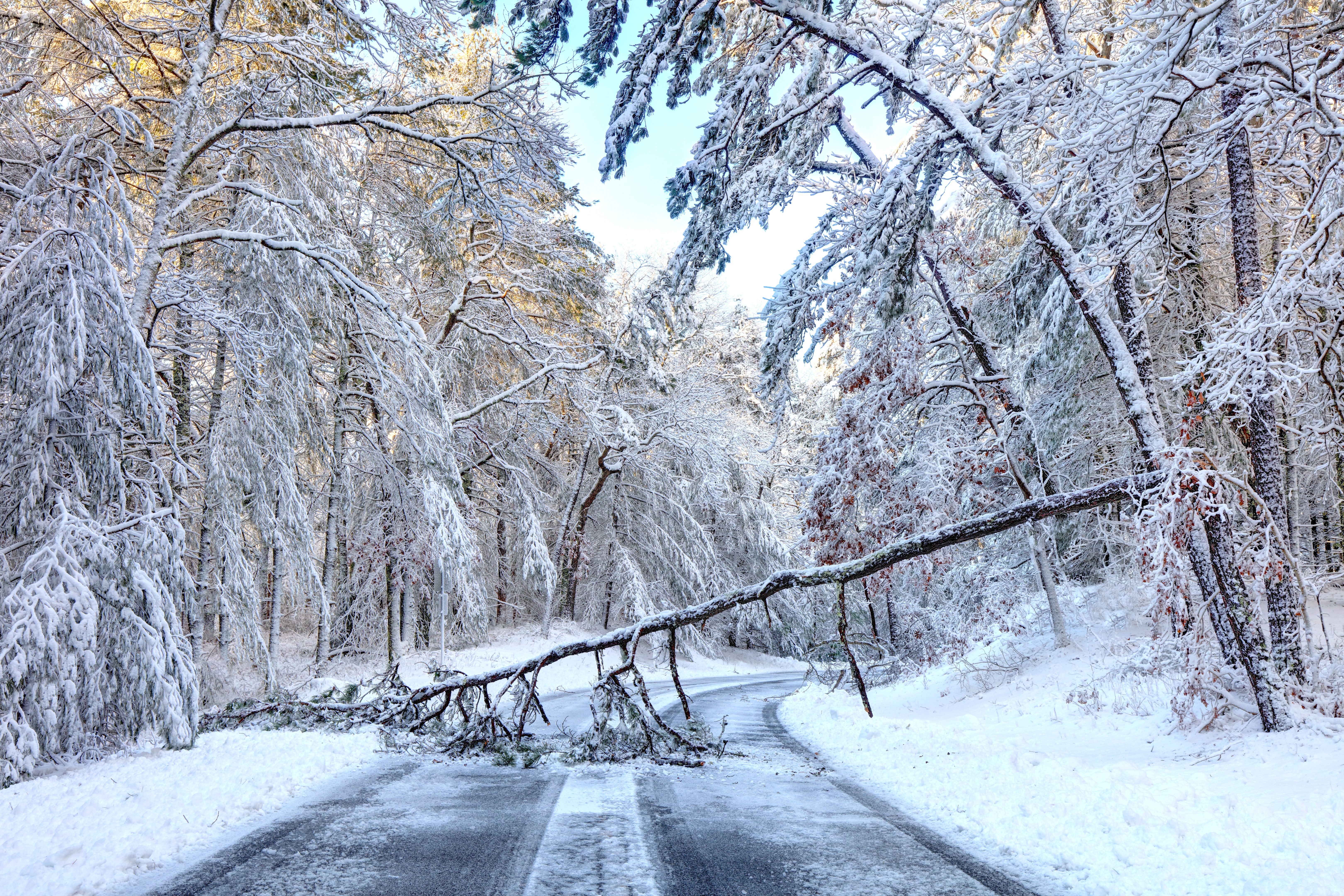winter storm damage