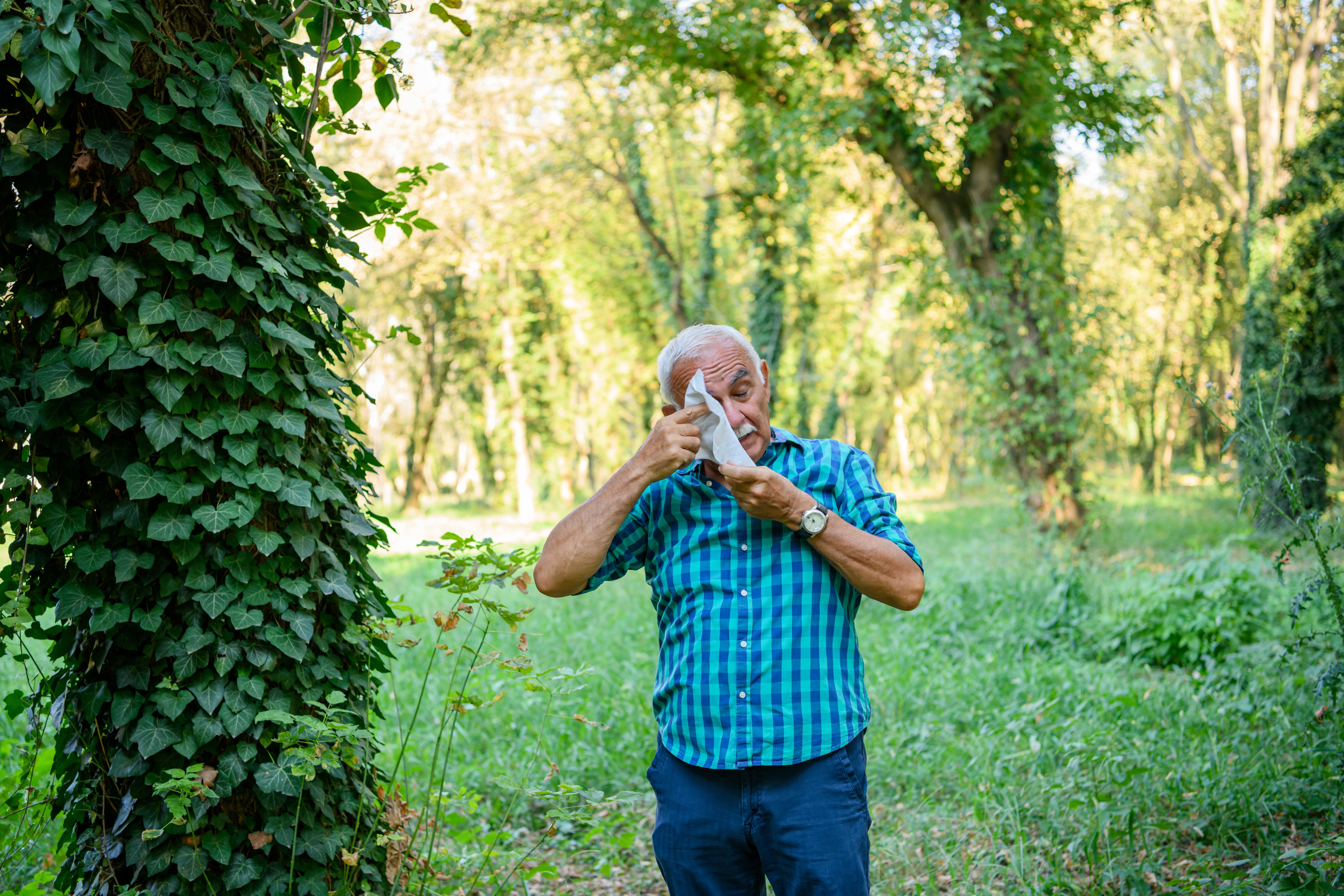 elderly spring allergies