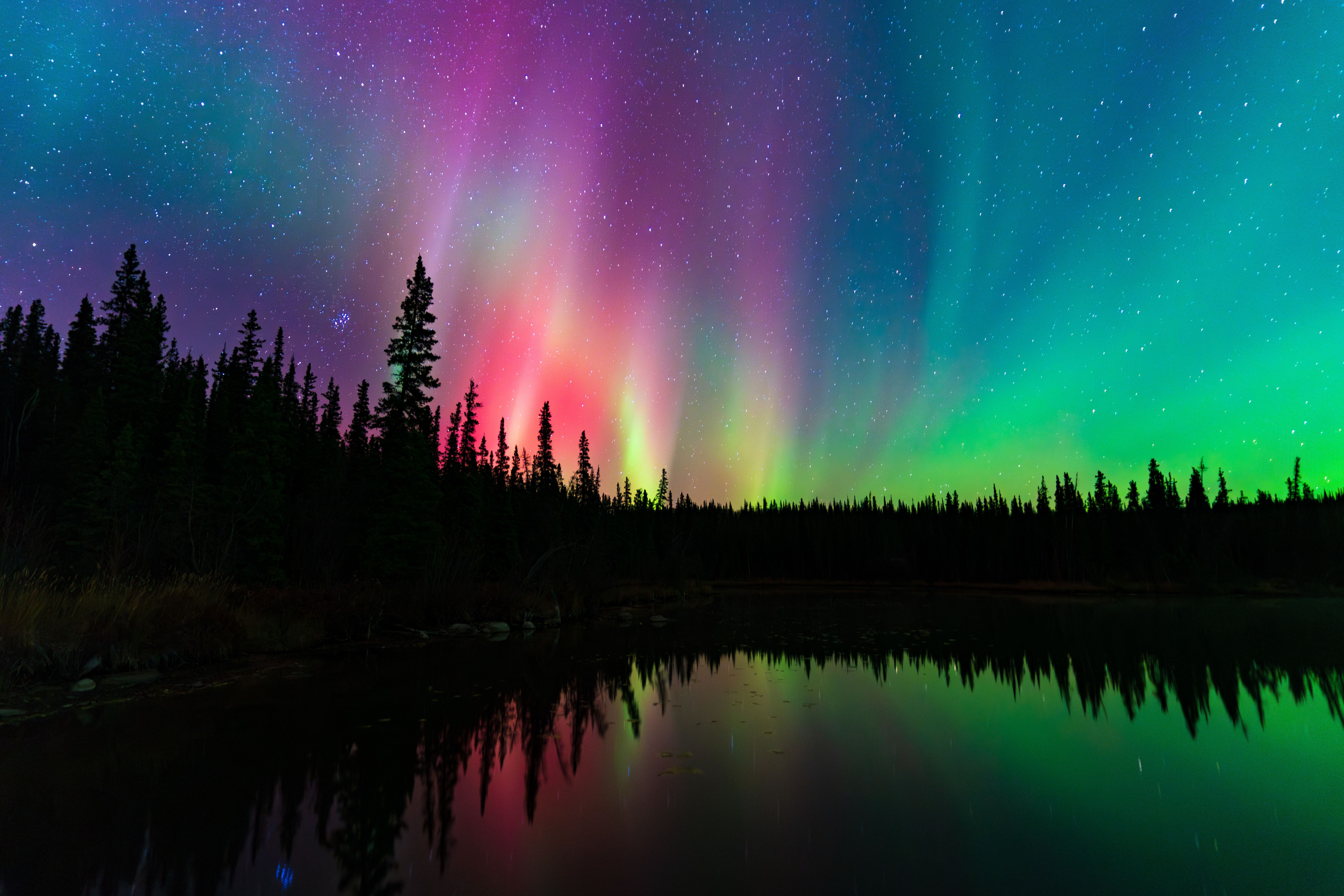 Colorful Aurora Borealis, Northern Lights, at Yellowknife, Northwest Territories, Canada Colorful Aurora Borealis, Northern Lights, at Yellowknife, Northwest Territories, Canada