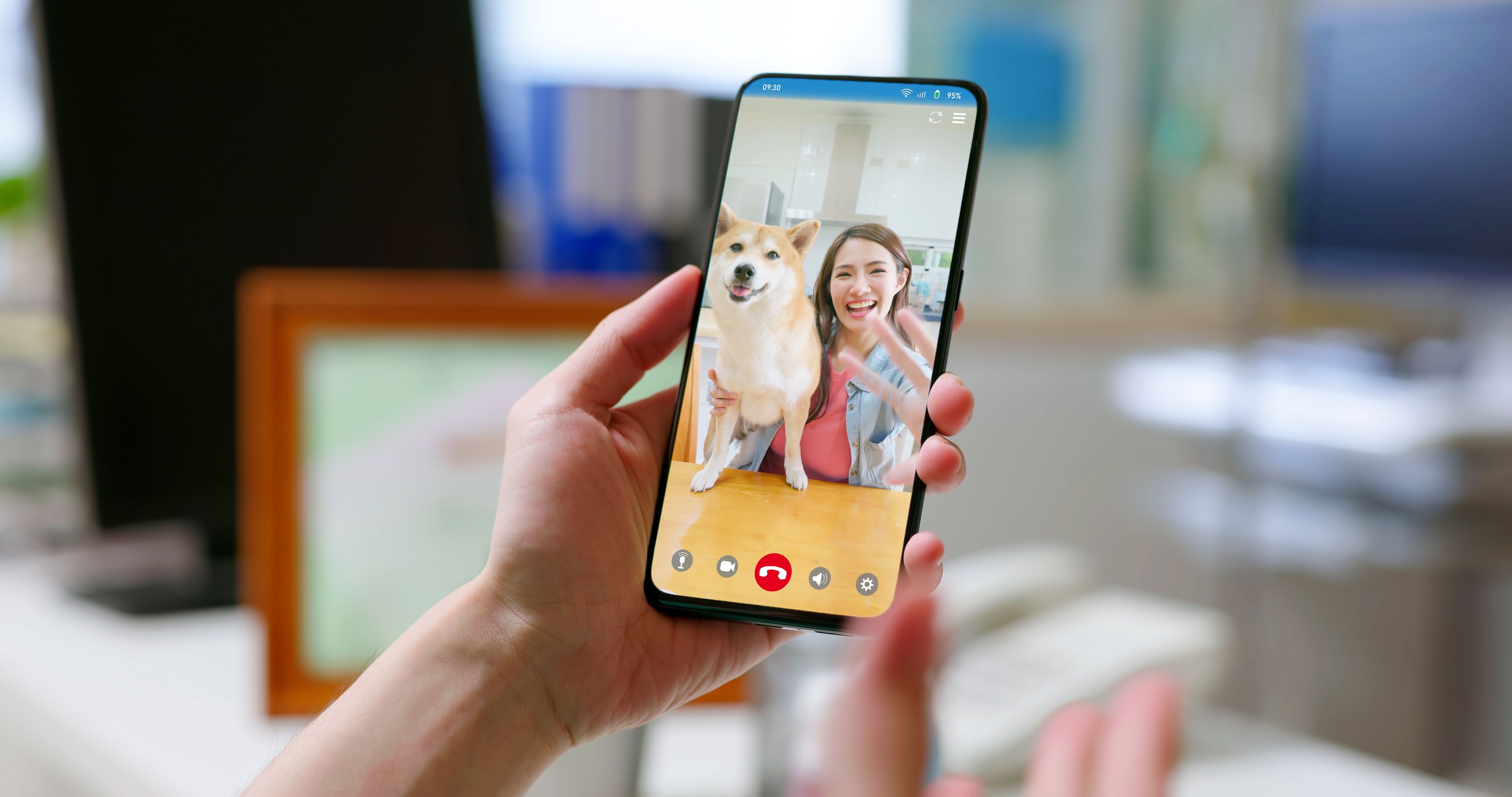 smartphone dog