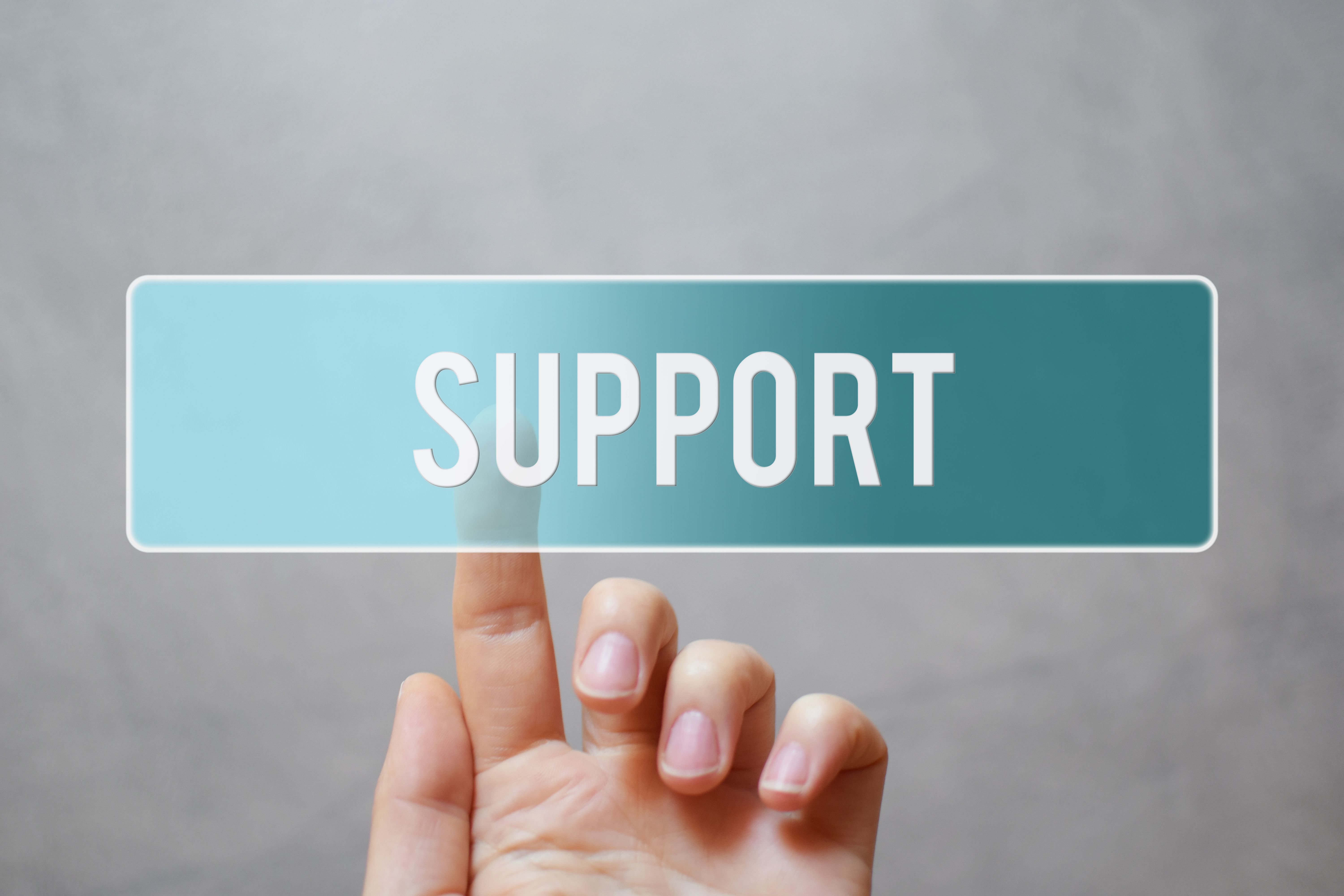 ndis provider support