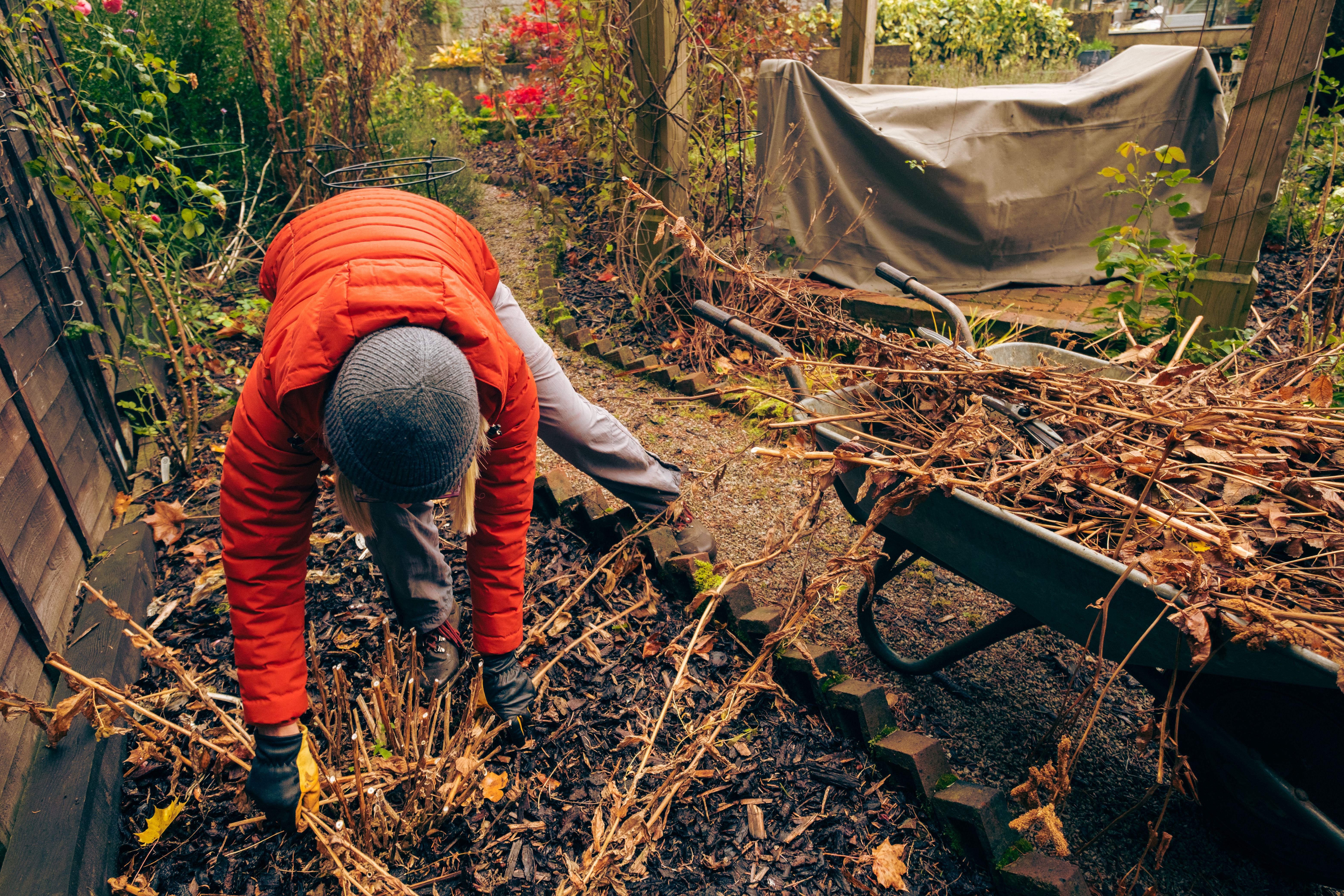 garden winter preparation