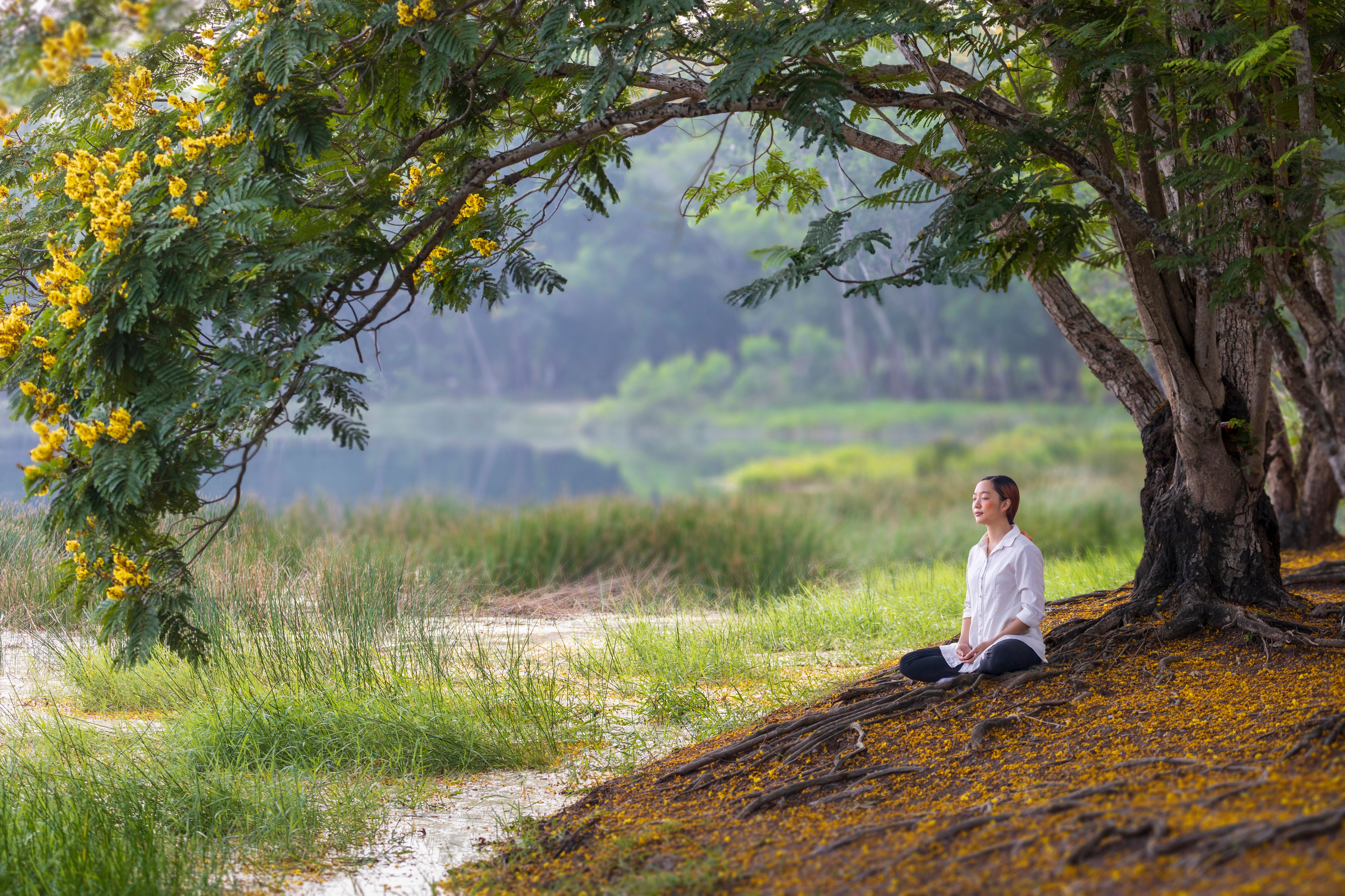 meditation in nature