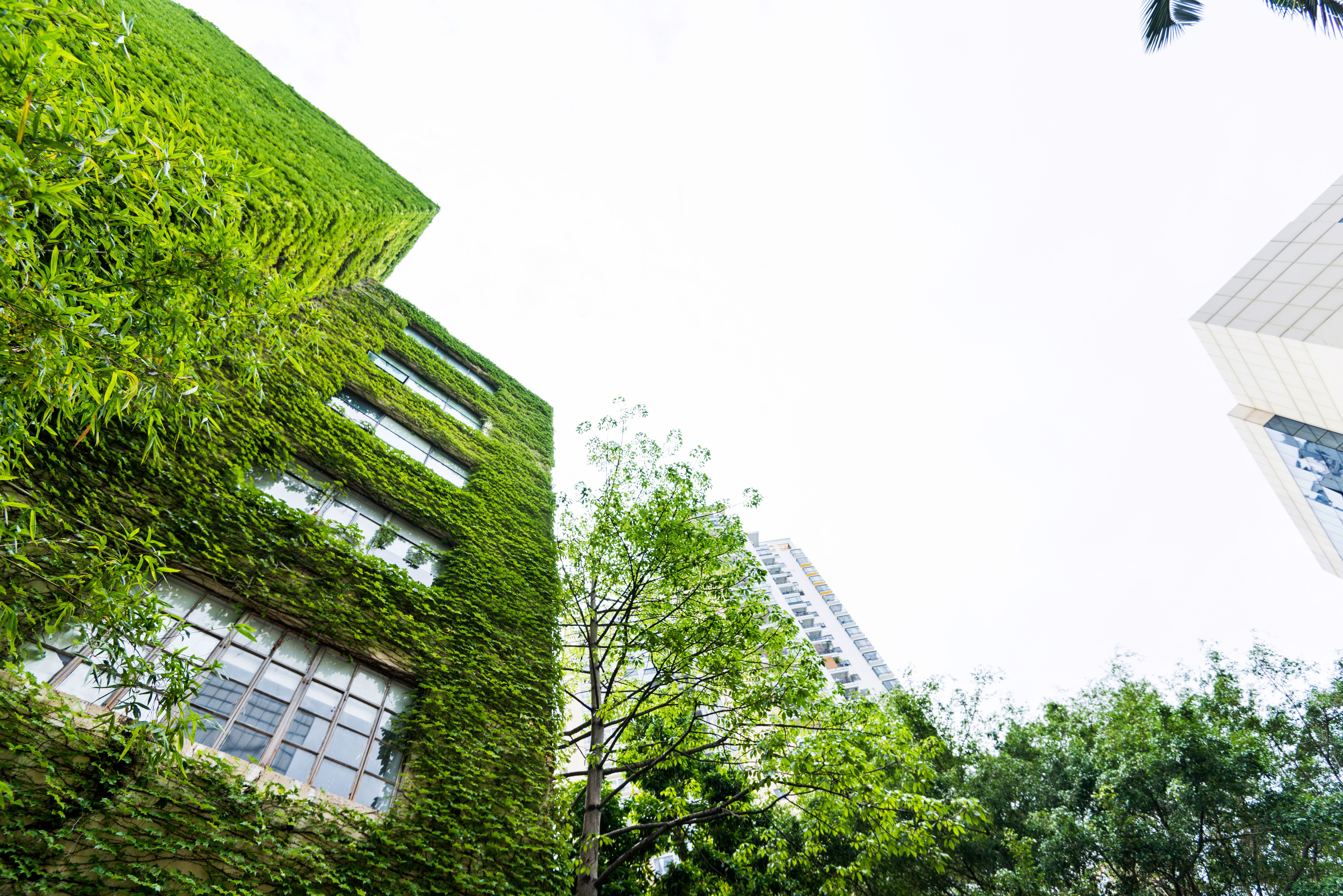 green-building