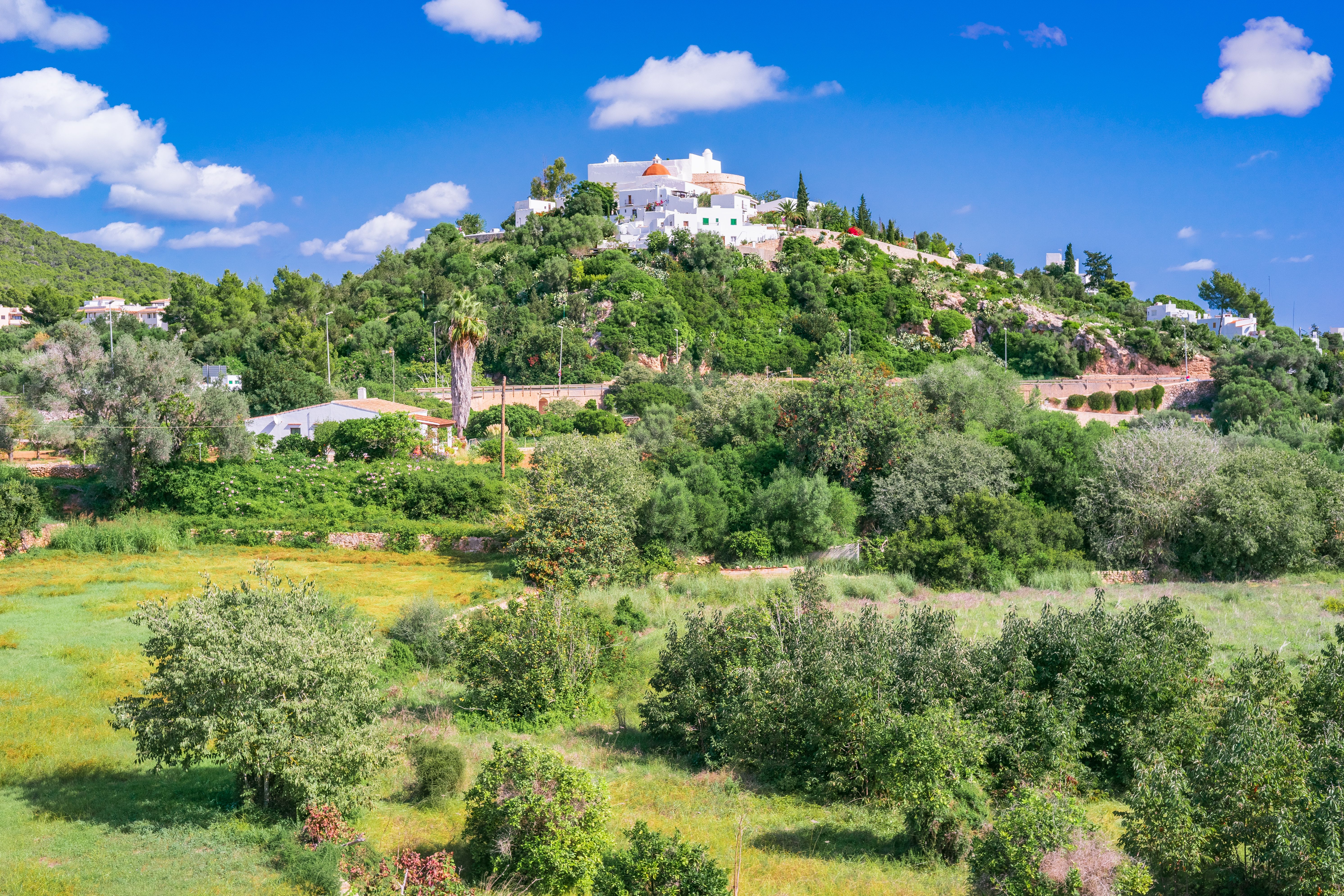 rural ibiza property