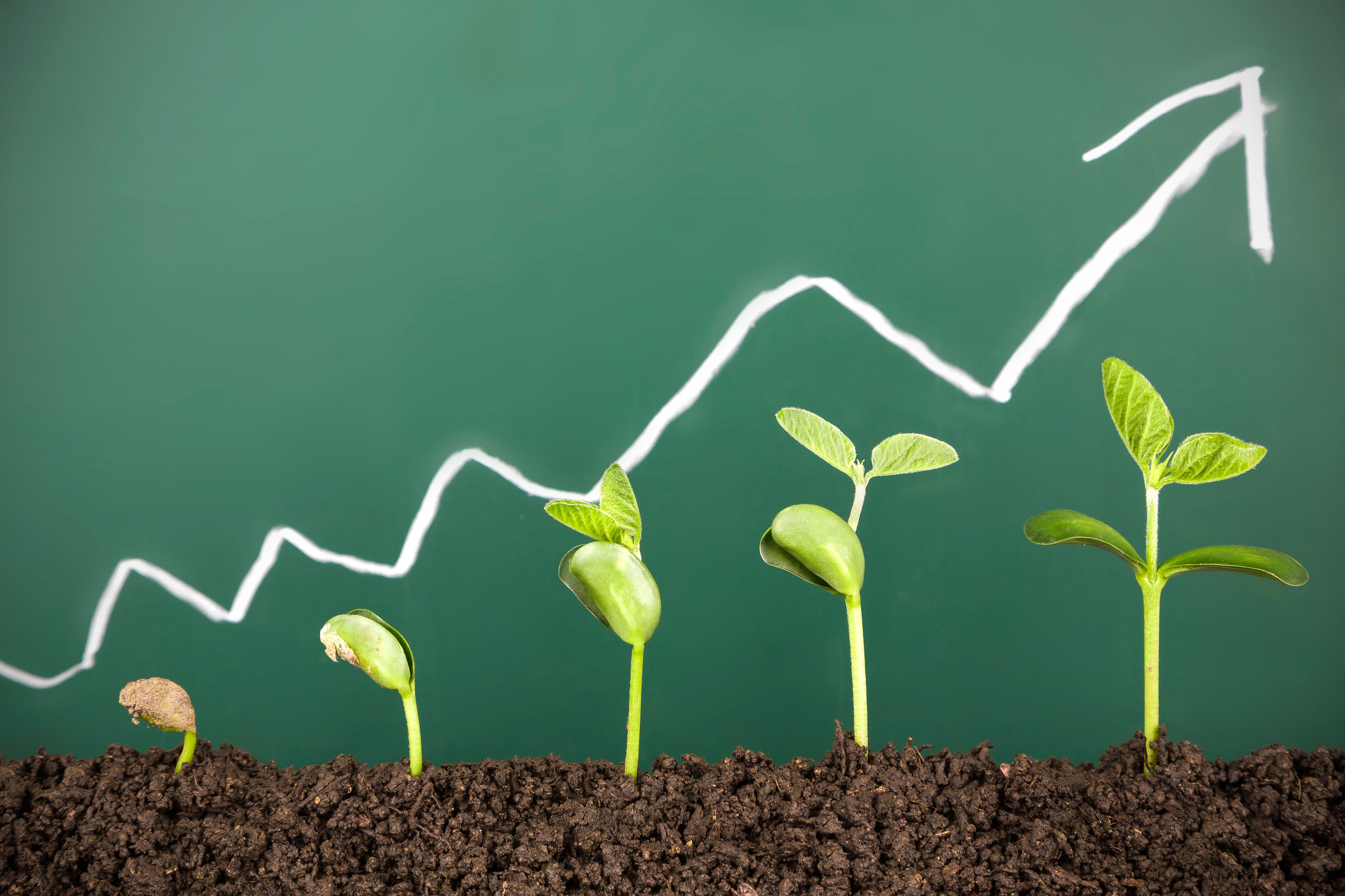 scalable business growth