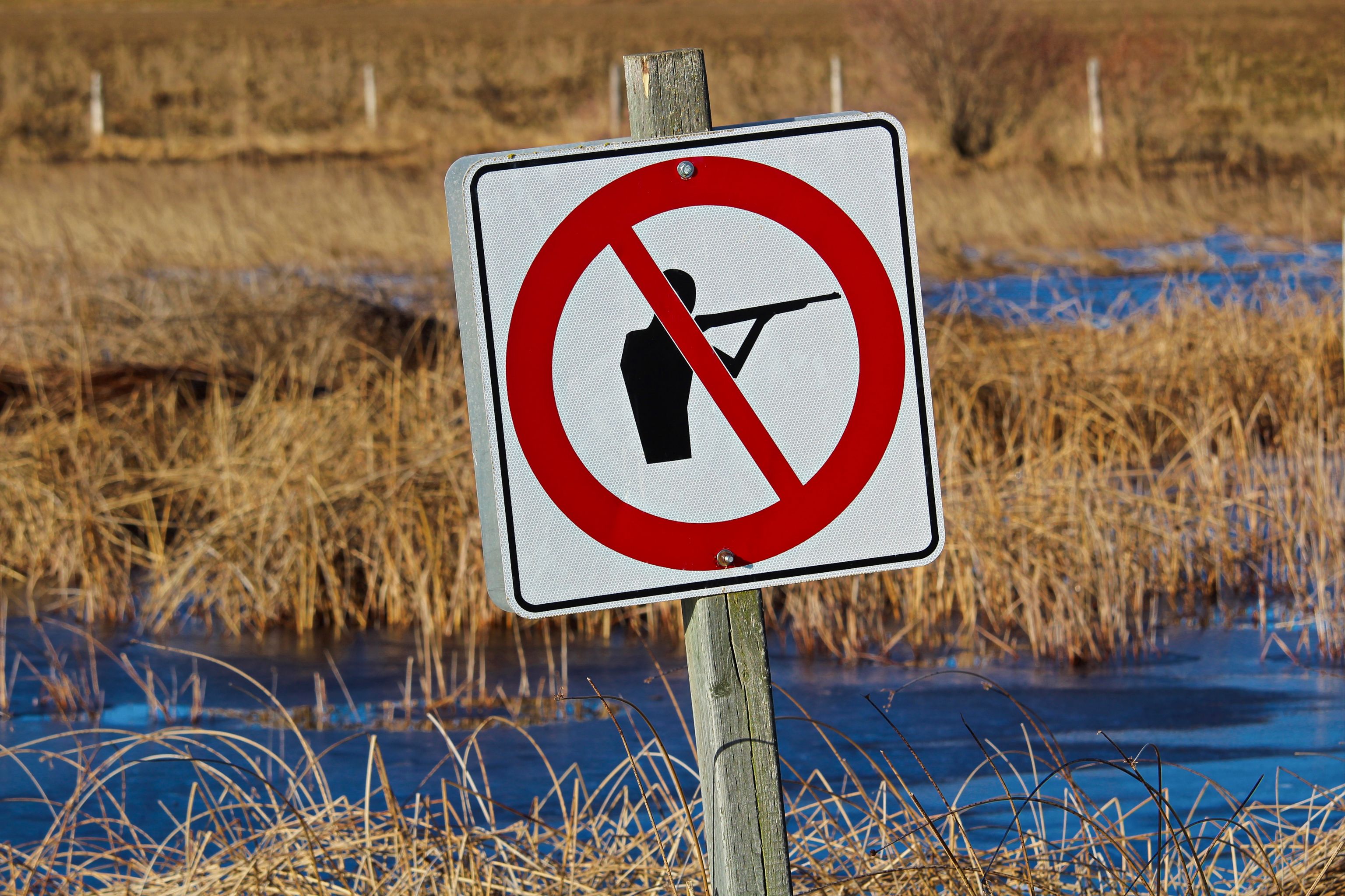 legal documents firearms