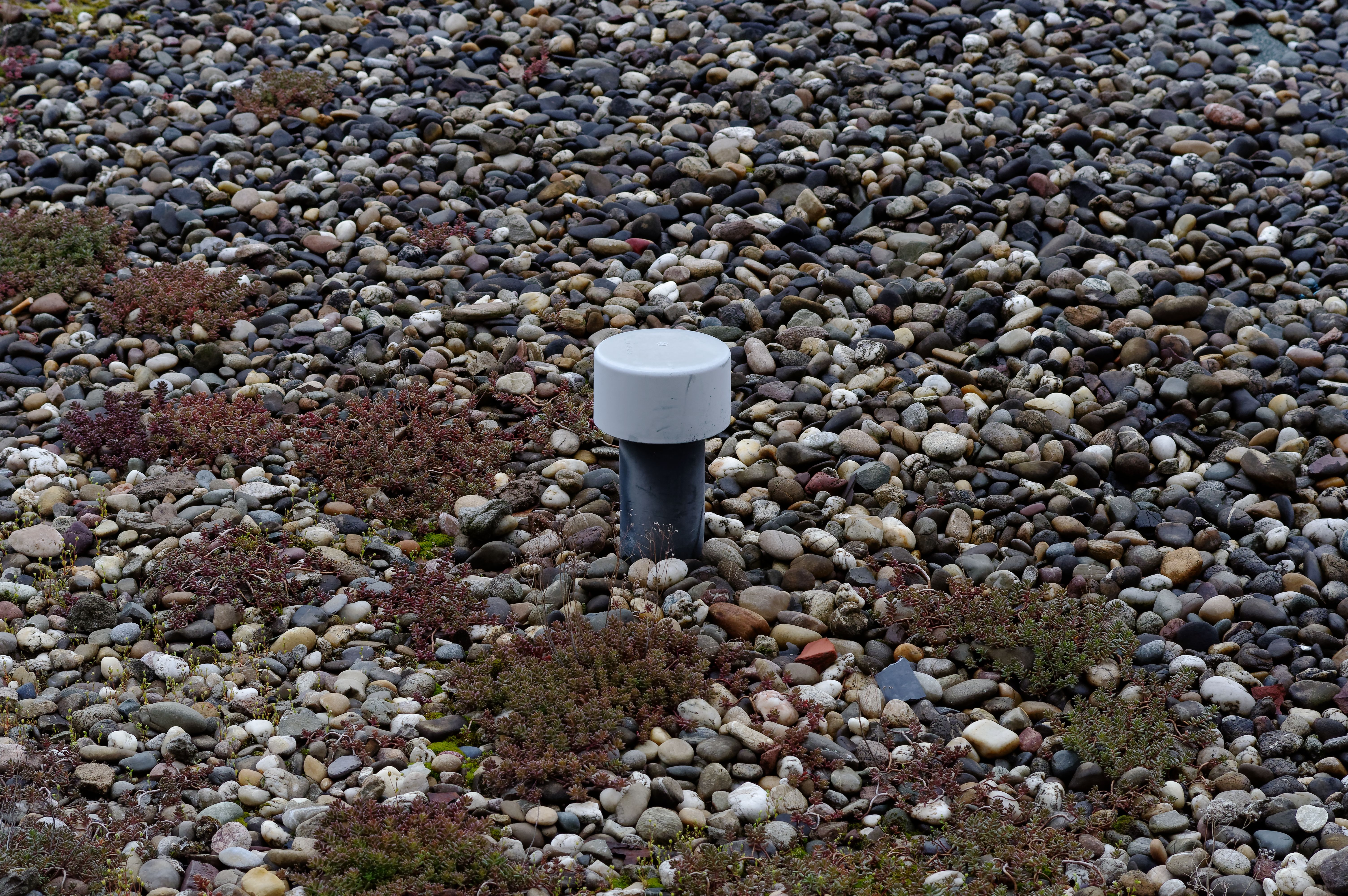 Broken flat roof with macro with broken rubber Broken flat roof with macro with broken rubber