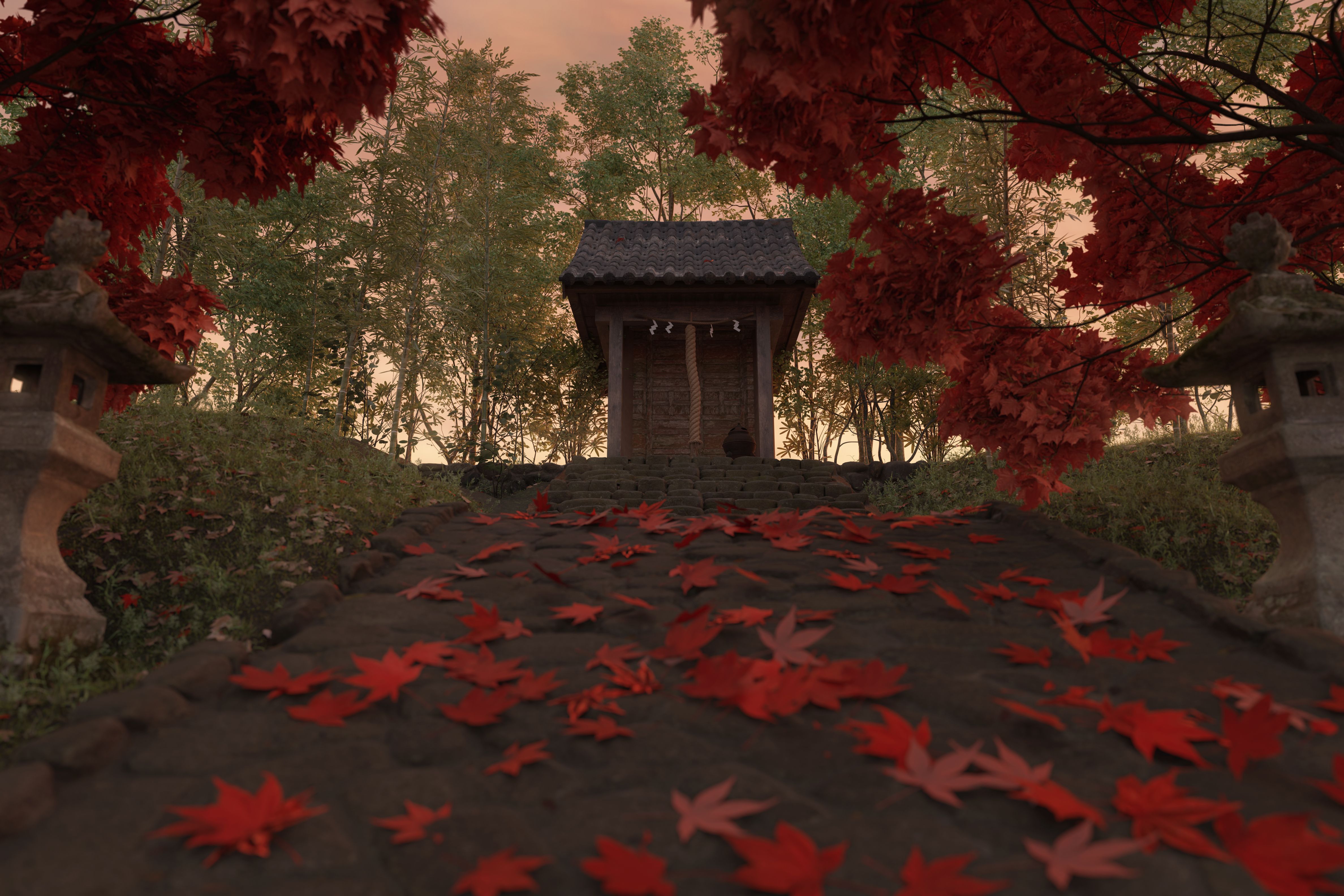 autumn leaves dojo