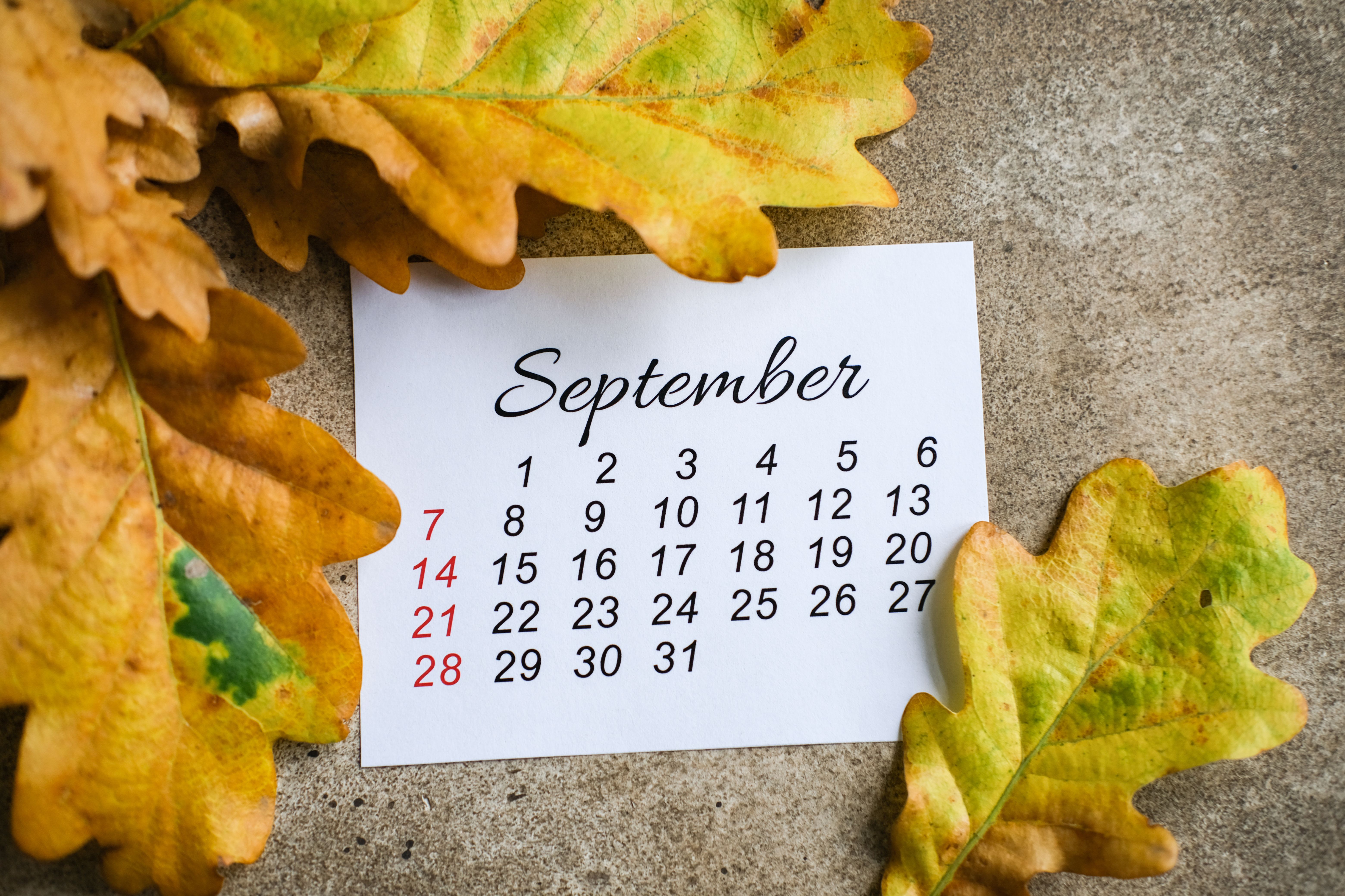 seasonal changes business