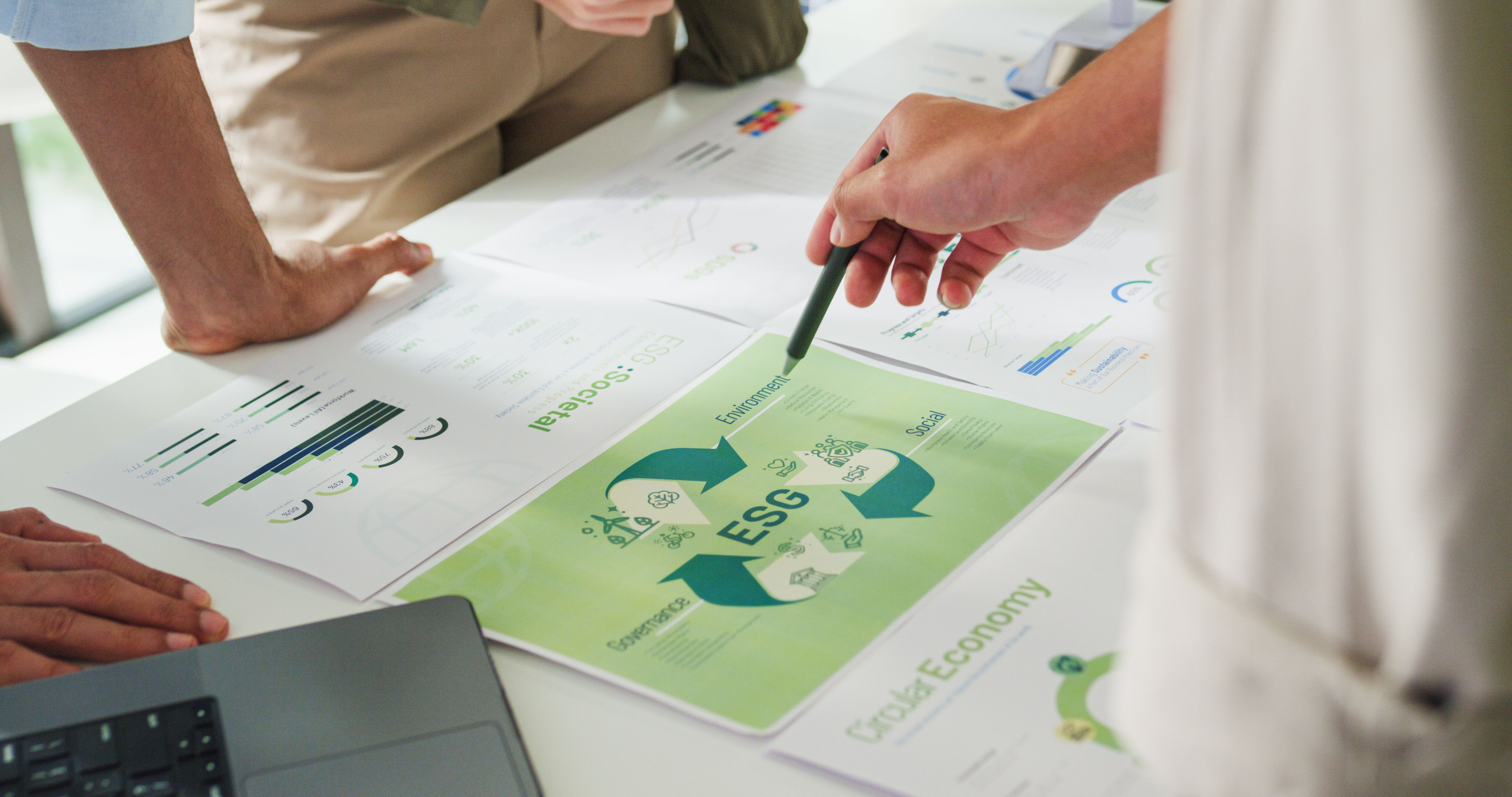 eco-friendly assessment