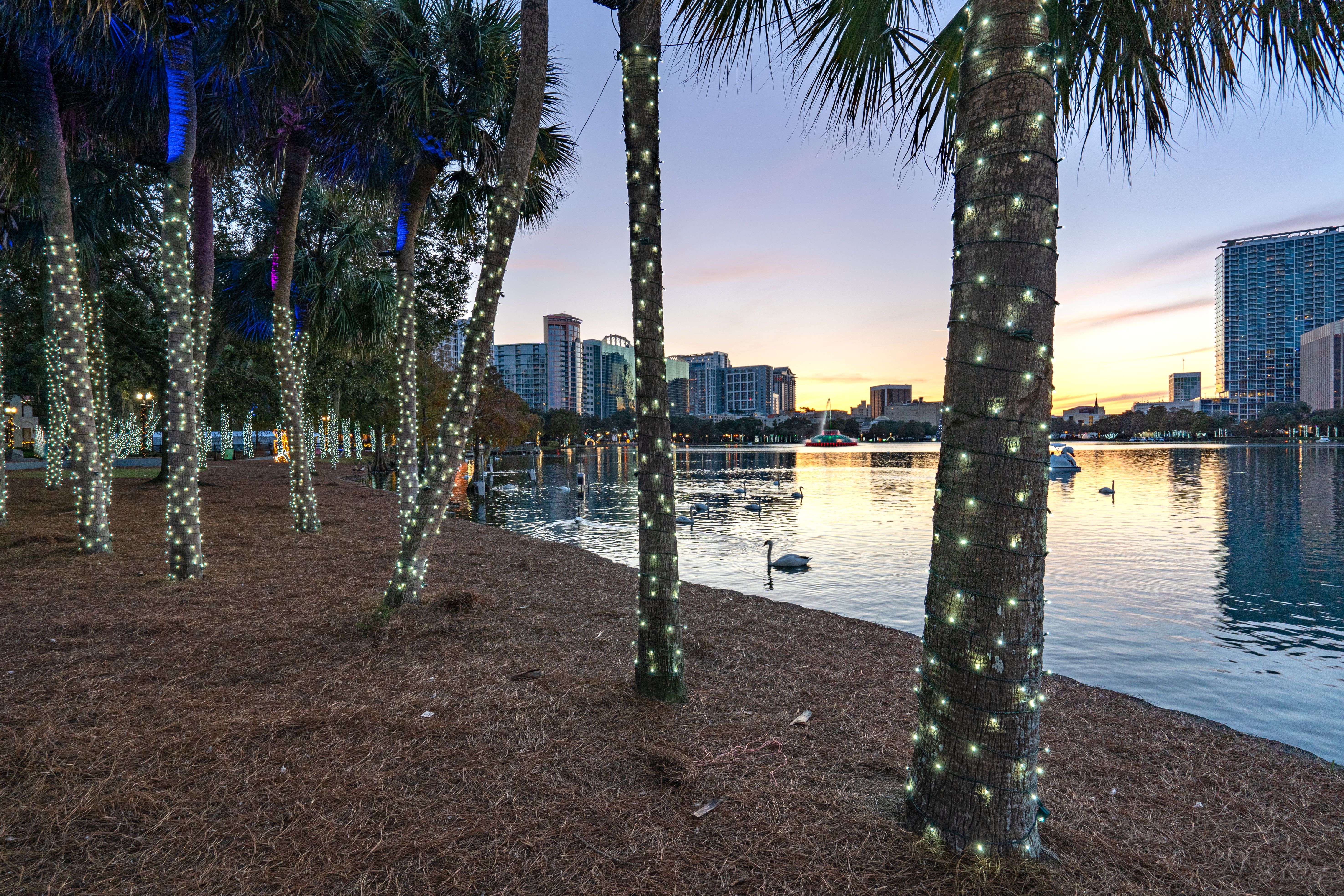 orlando holiday display