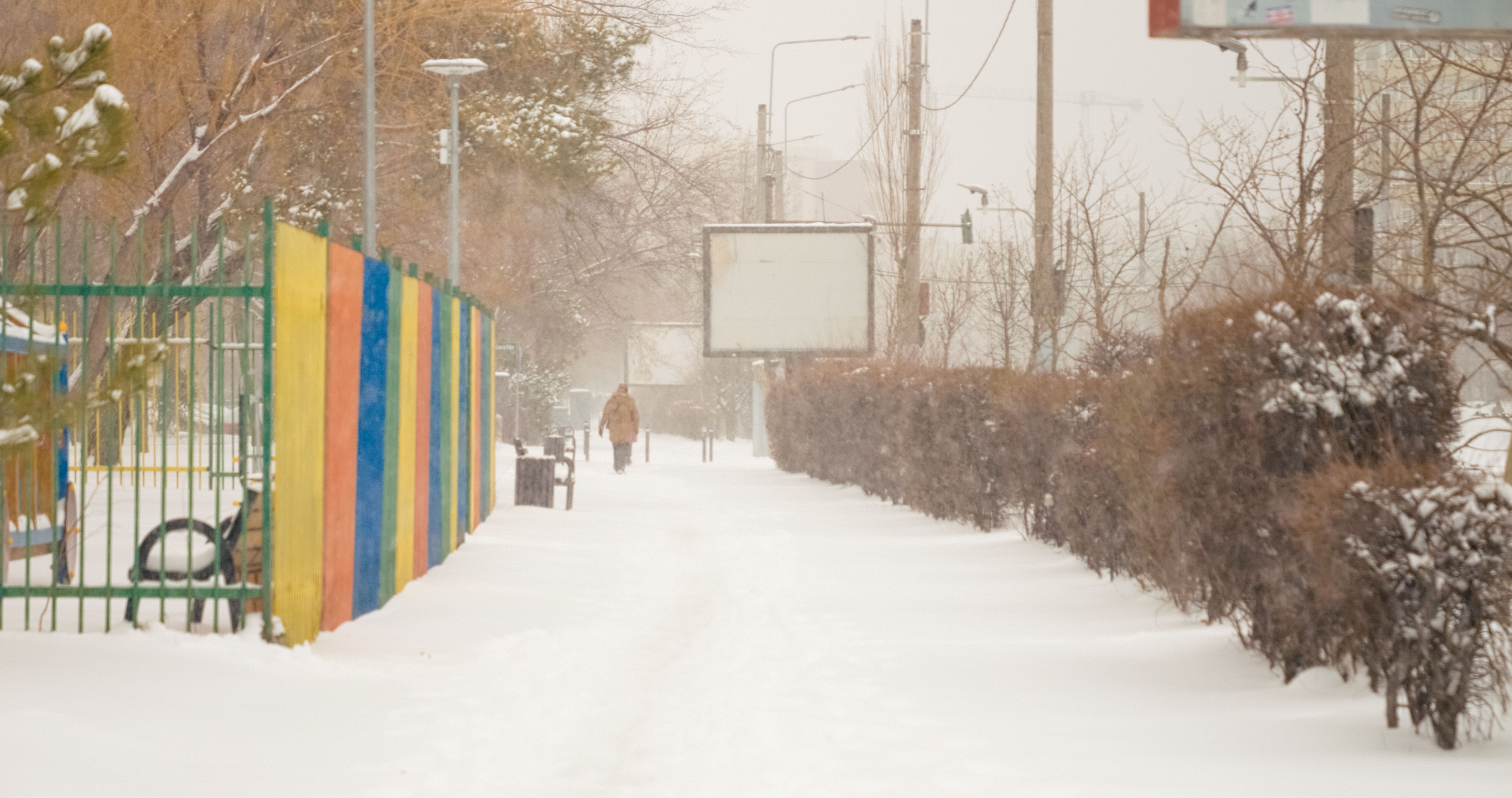 snowy street business