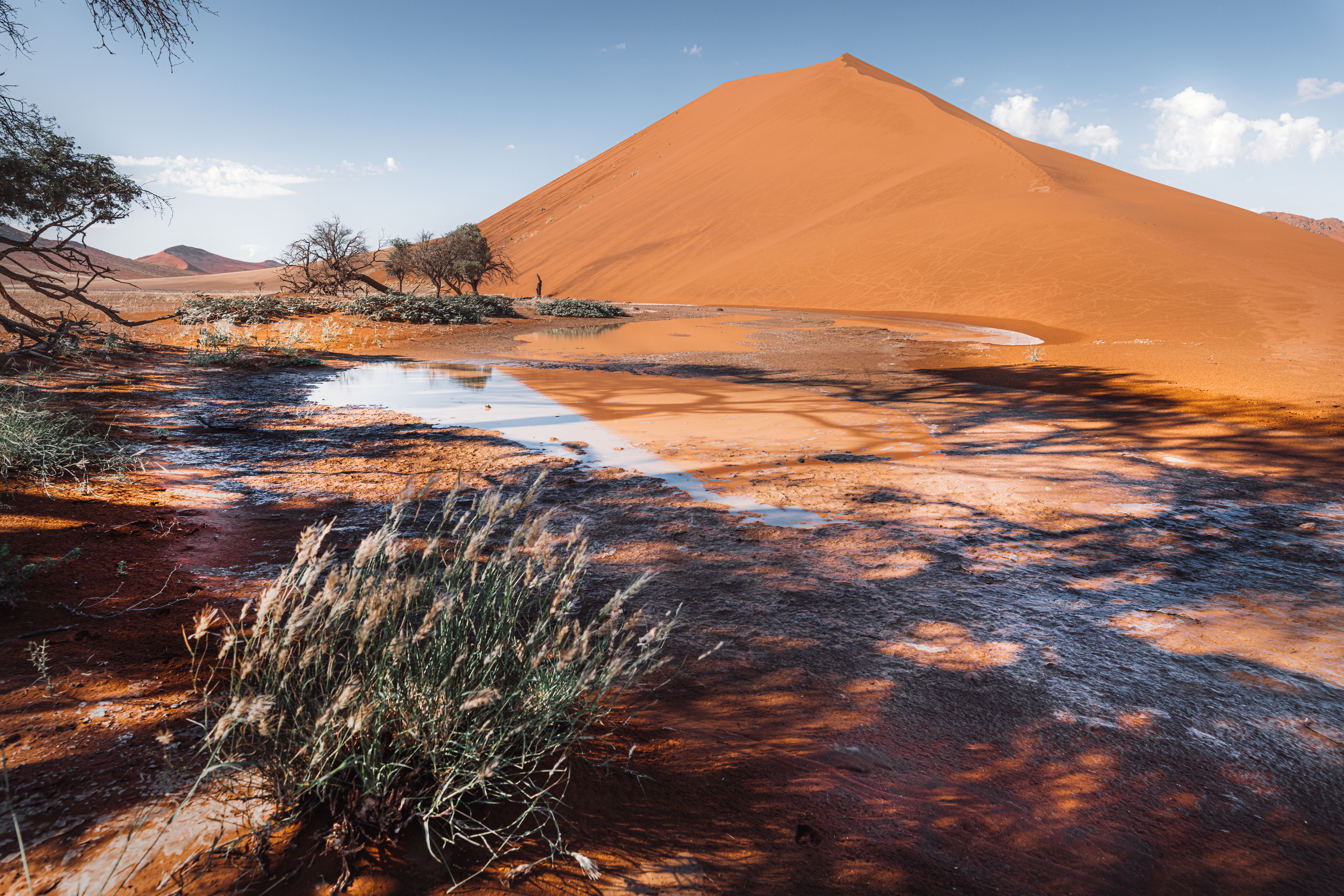 Water in the desert Water in the desert