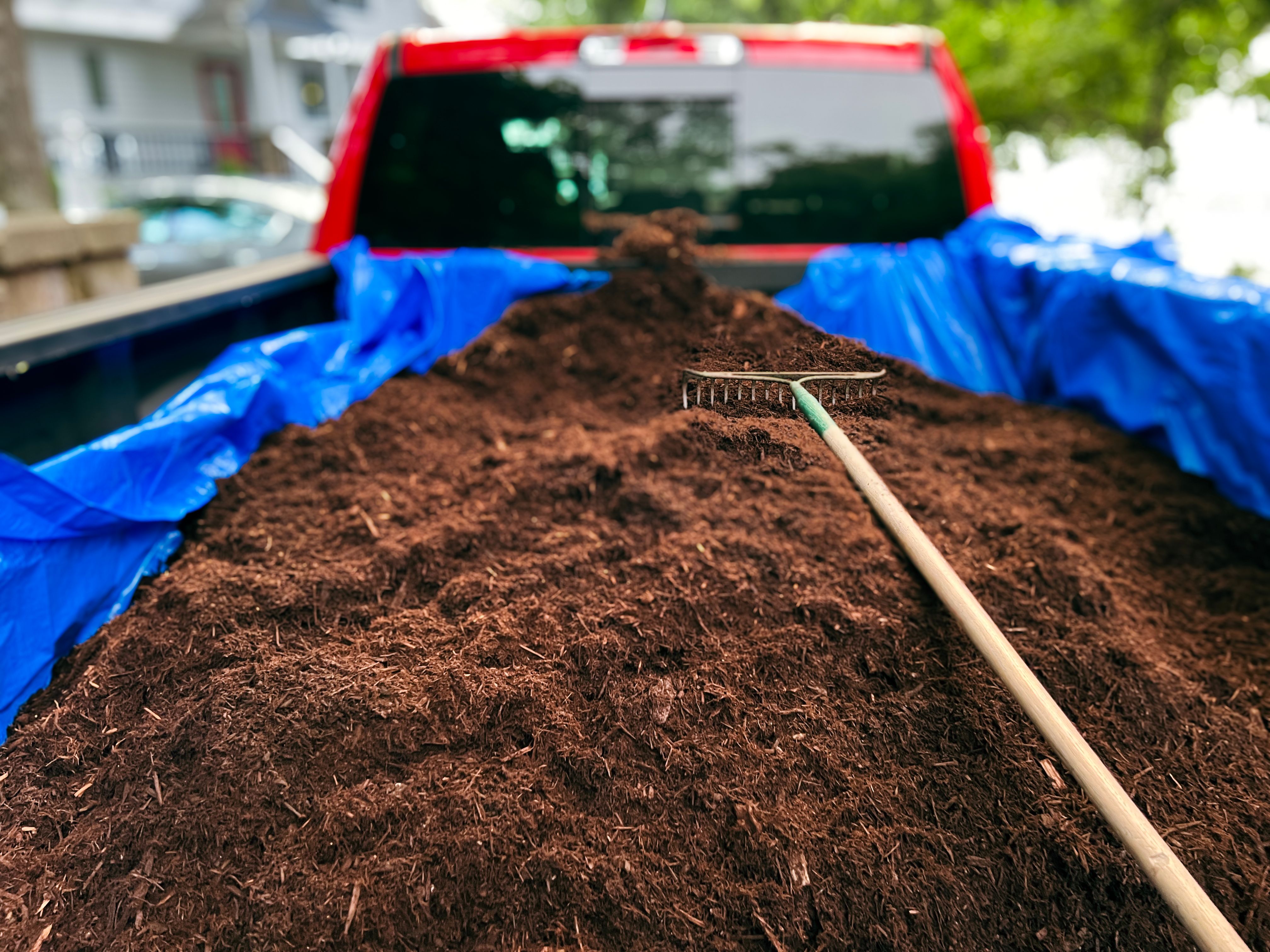 mulch soil