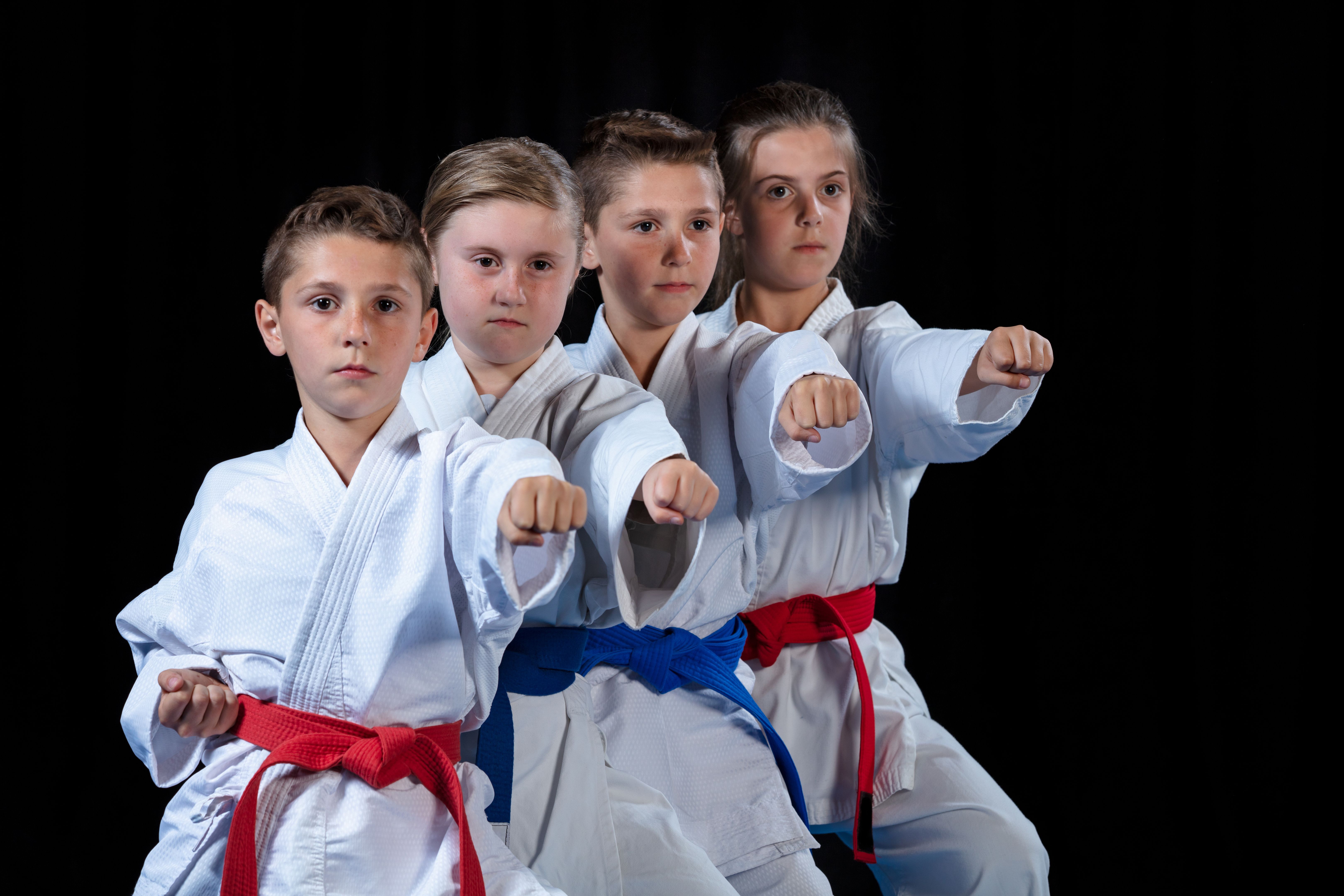 young, beautiful, successful multi ethical karate kids in karate position.