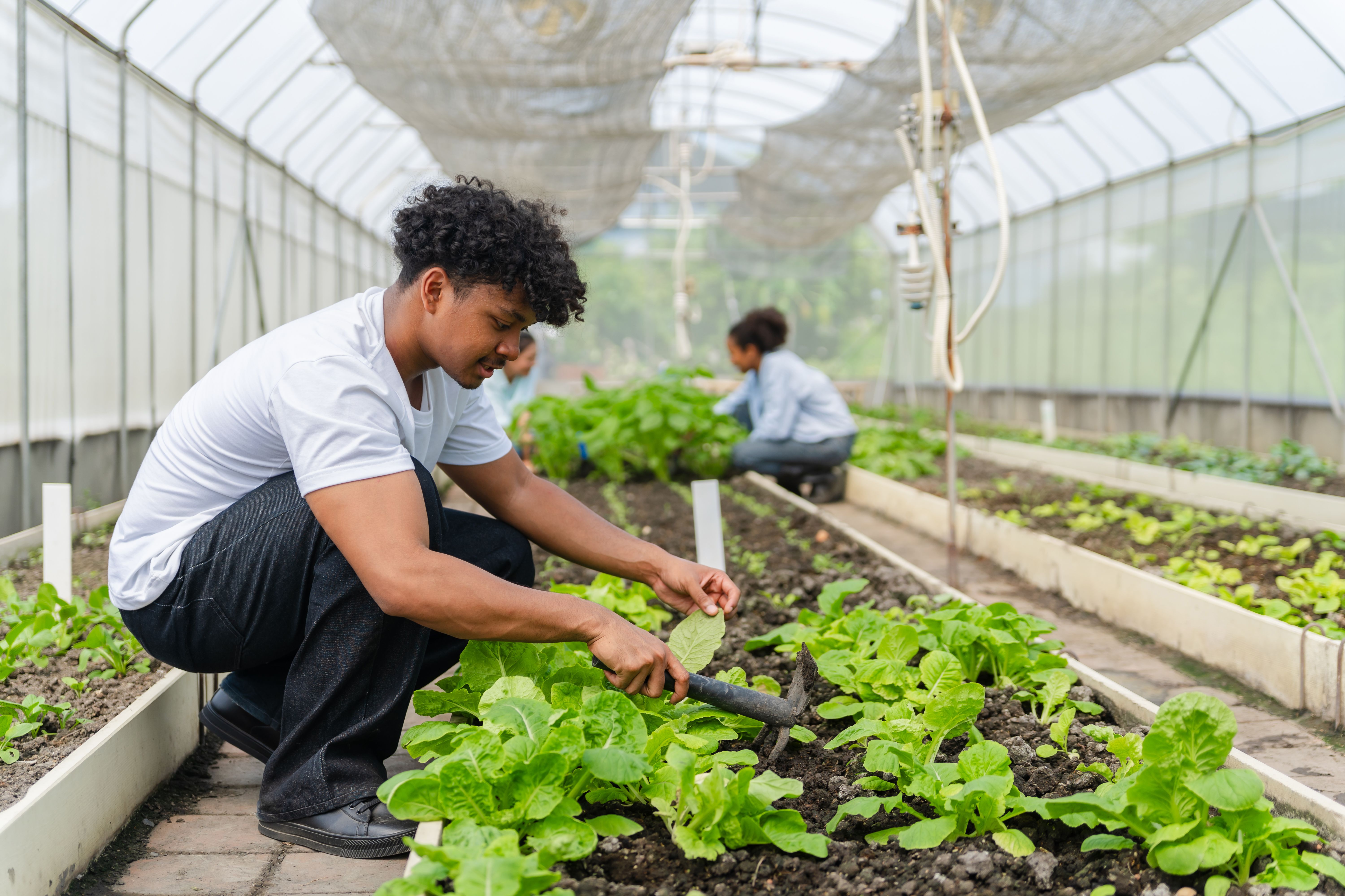 agriculture classroom