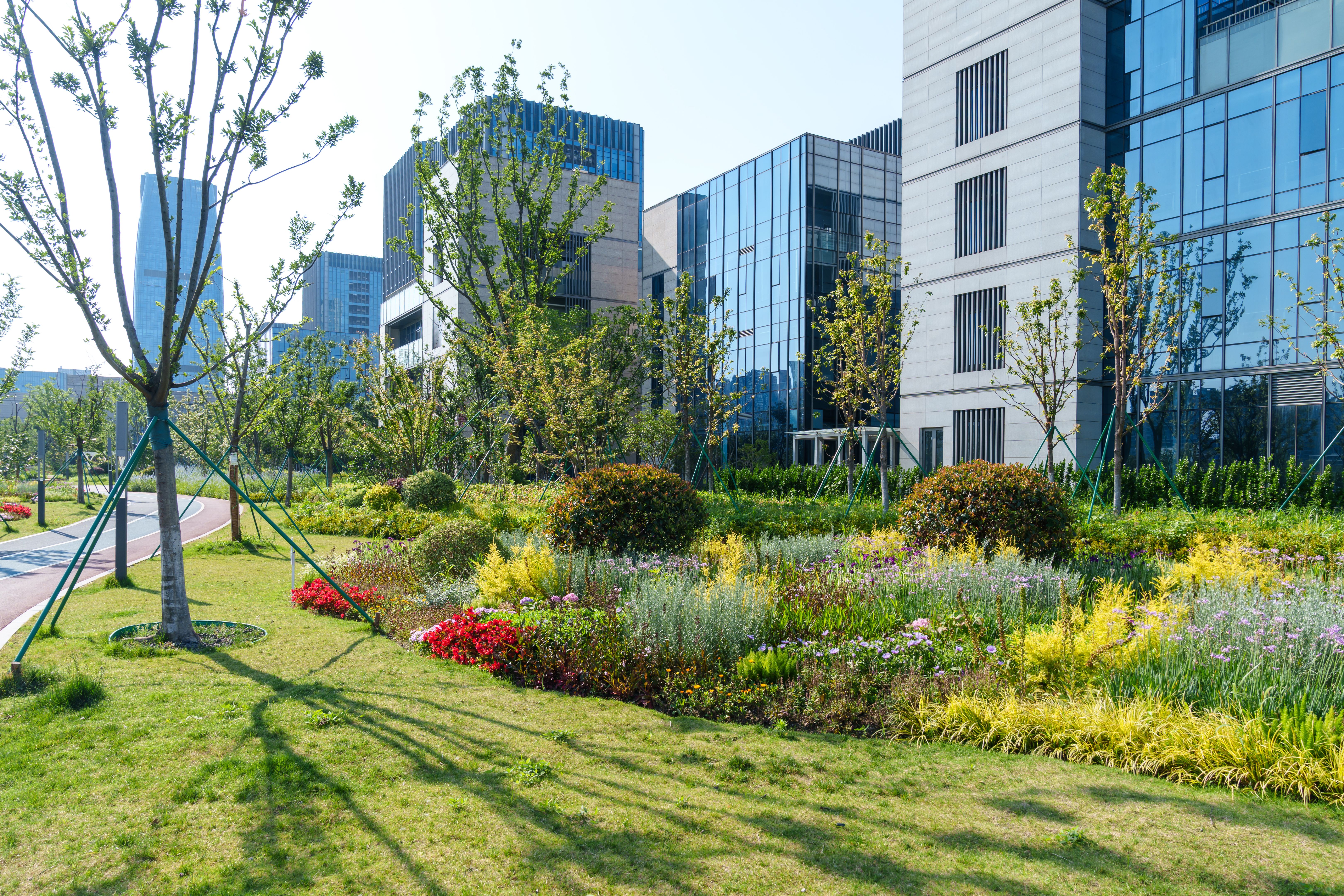 commercial landscape