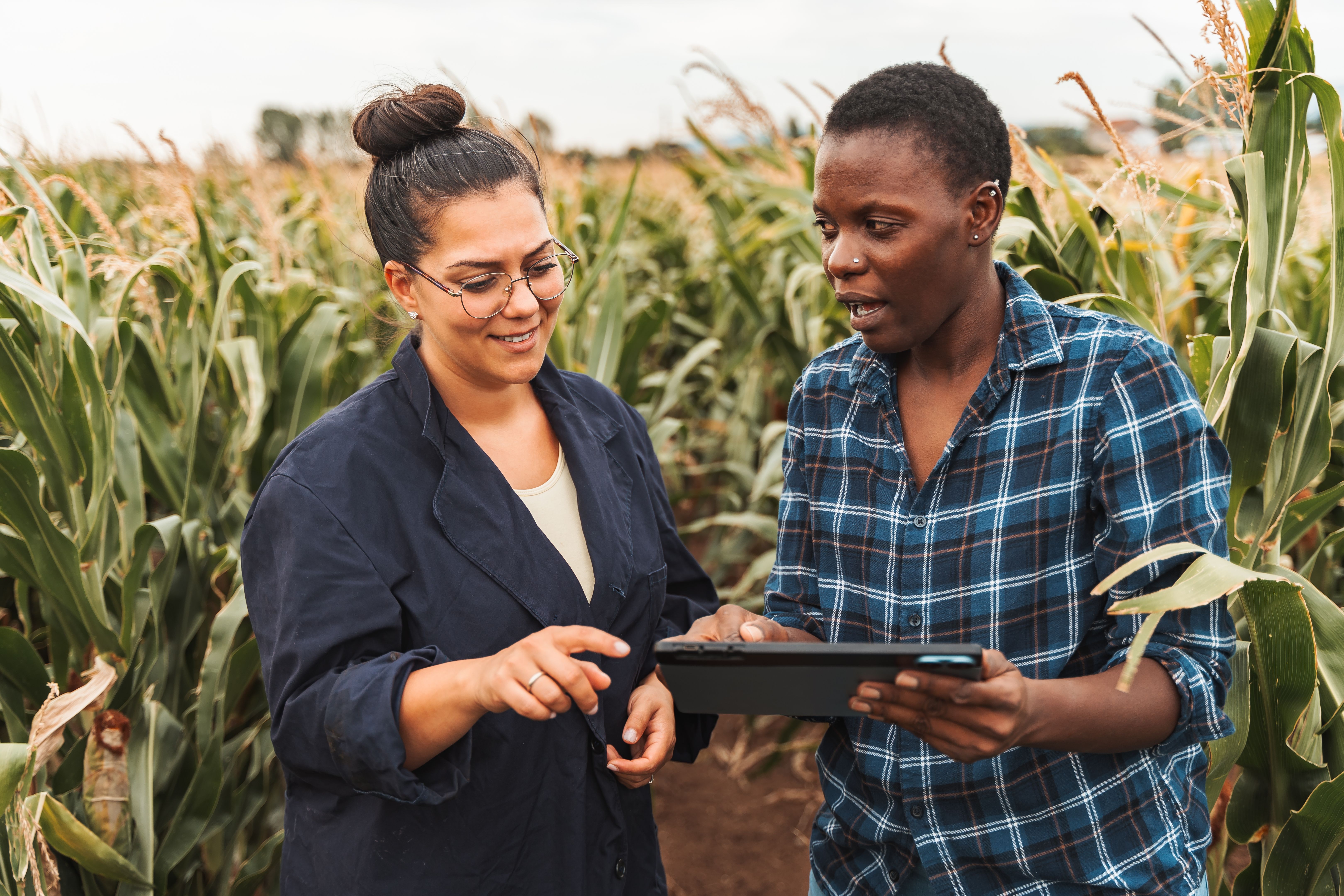 sustainability consulting