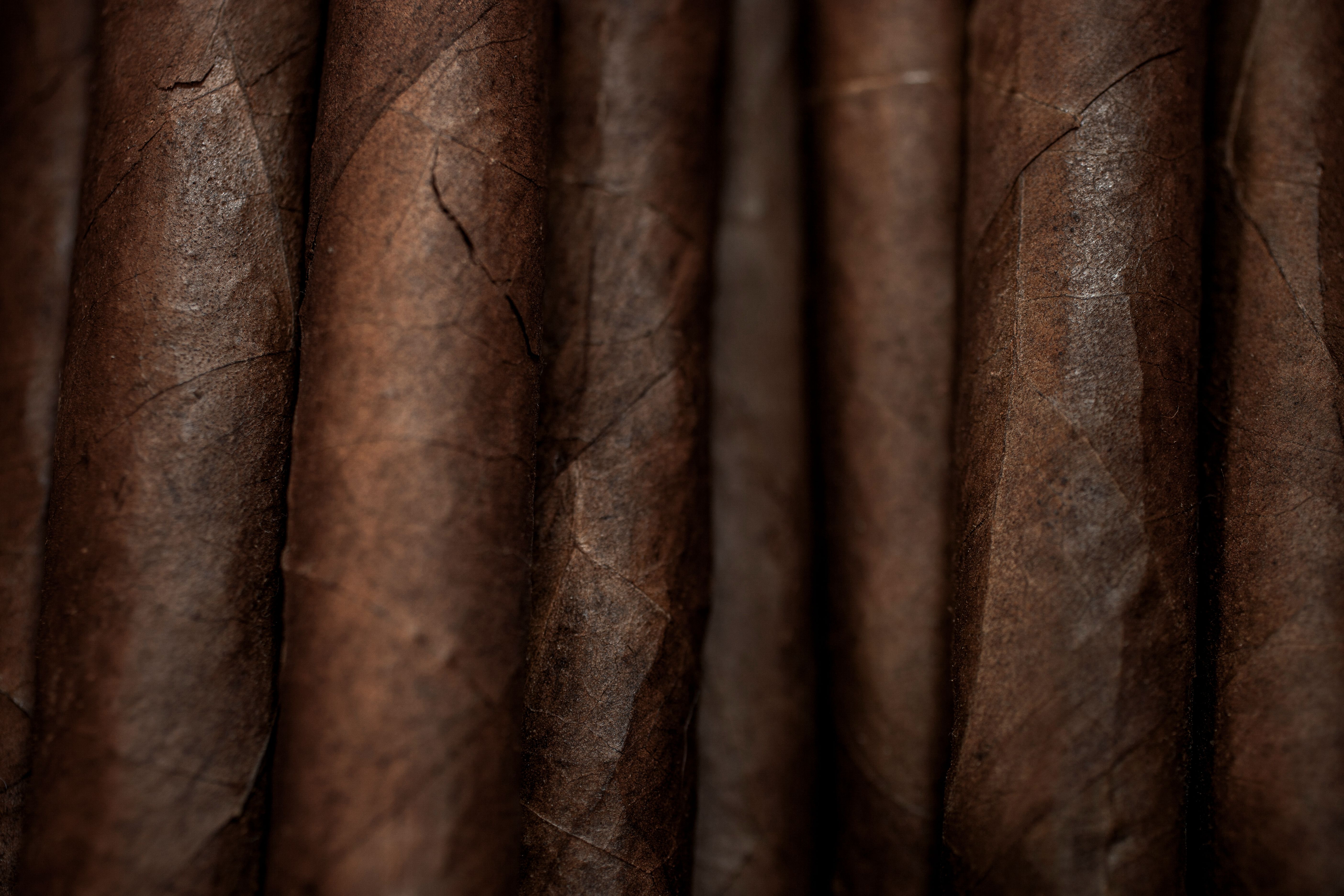 handmade cigar close-up