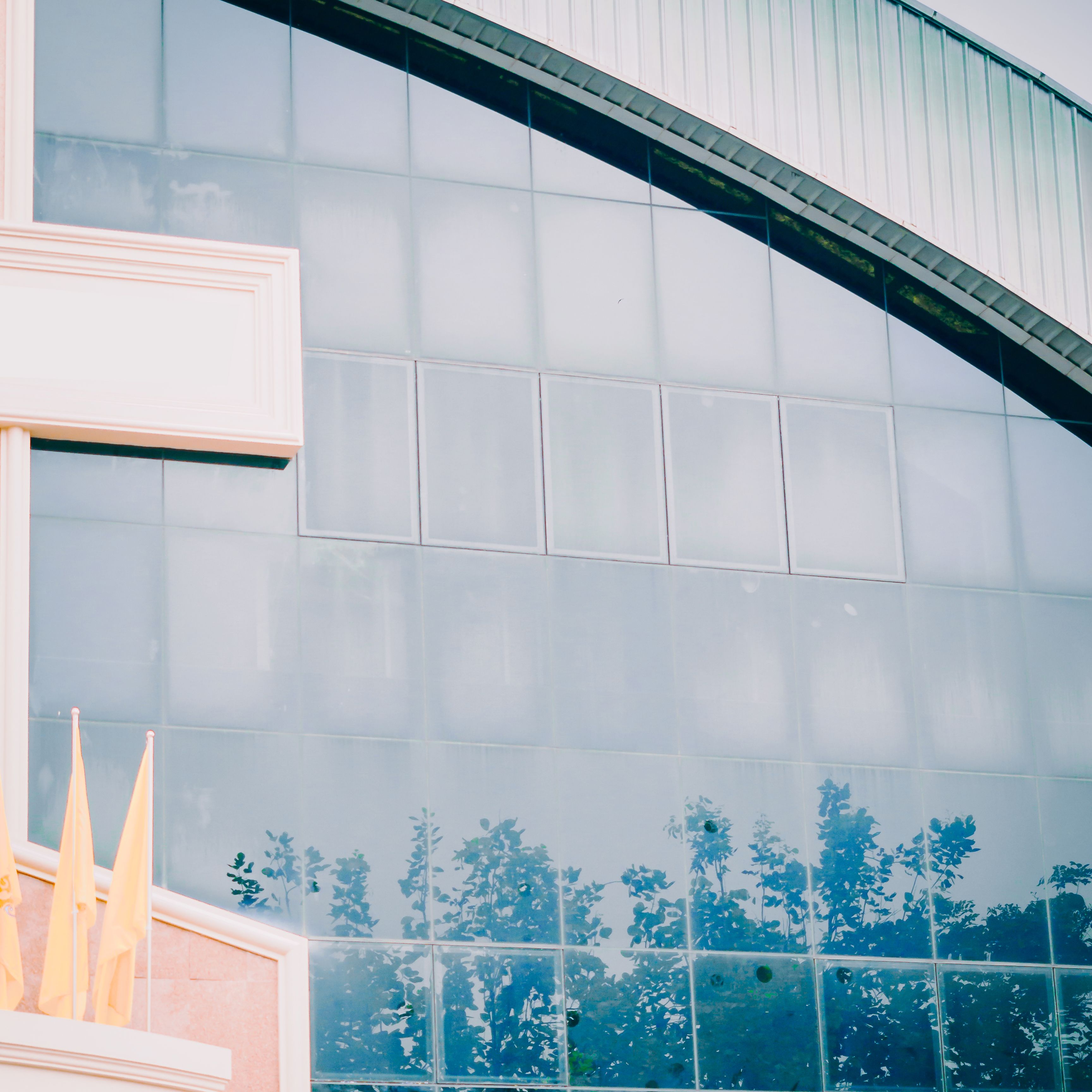 cloud and tree reflection on window glass of modern building background