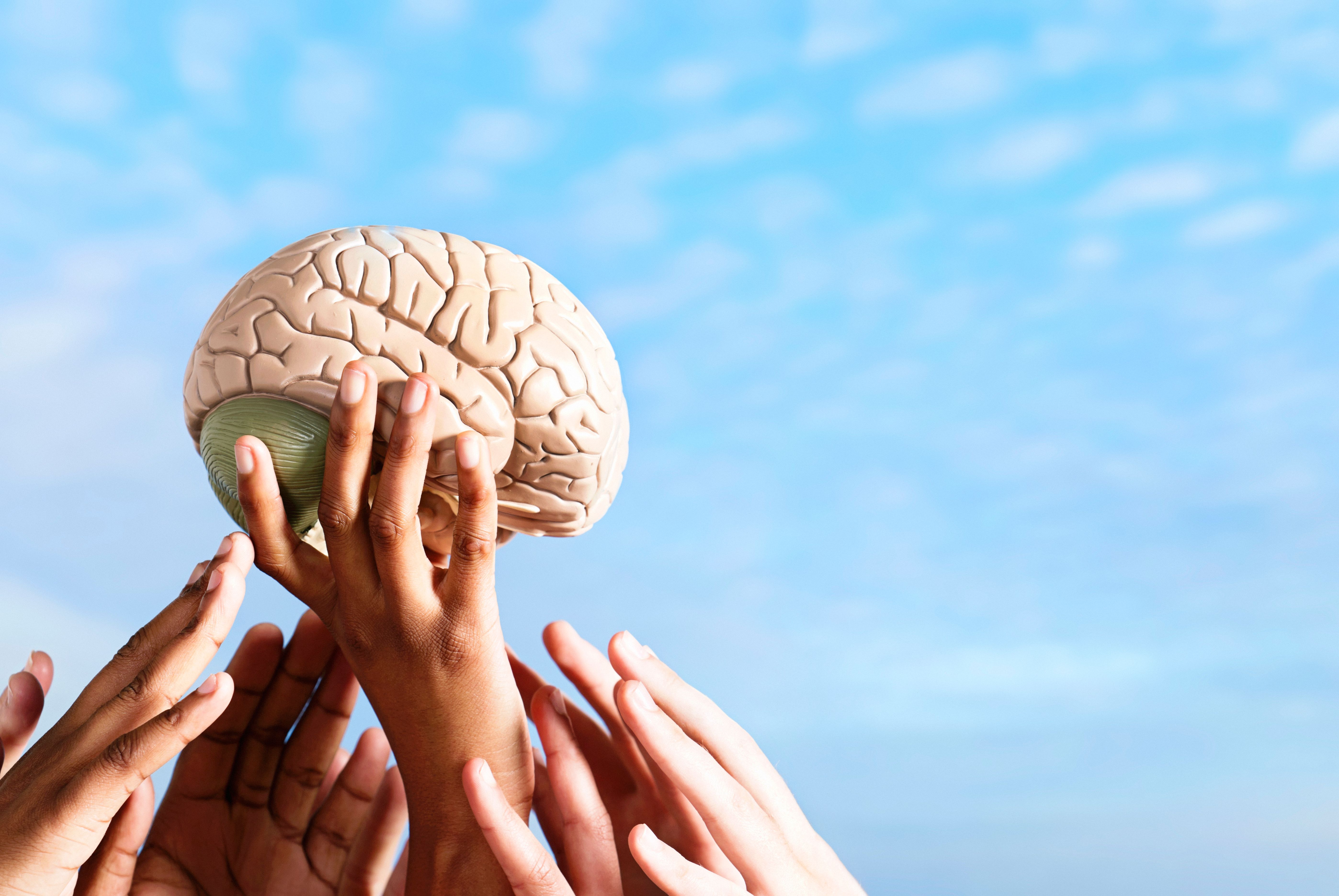 Many hands outstretched towards a human brain, against a beautiful summer sky with copy space