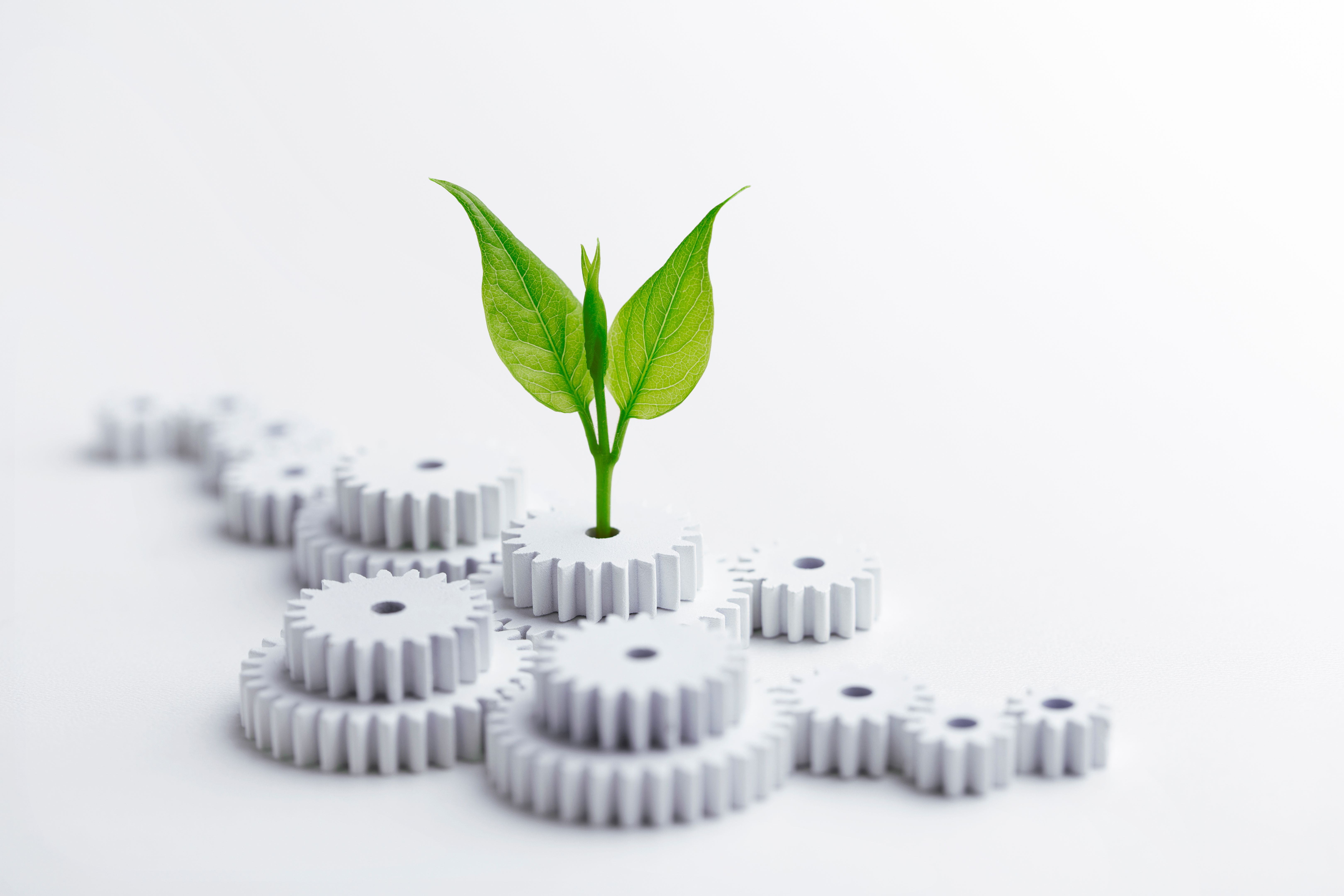 organic growth
