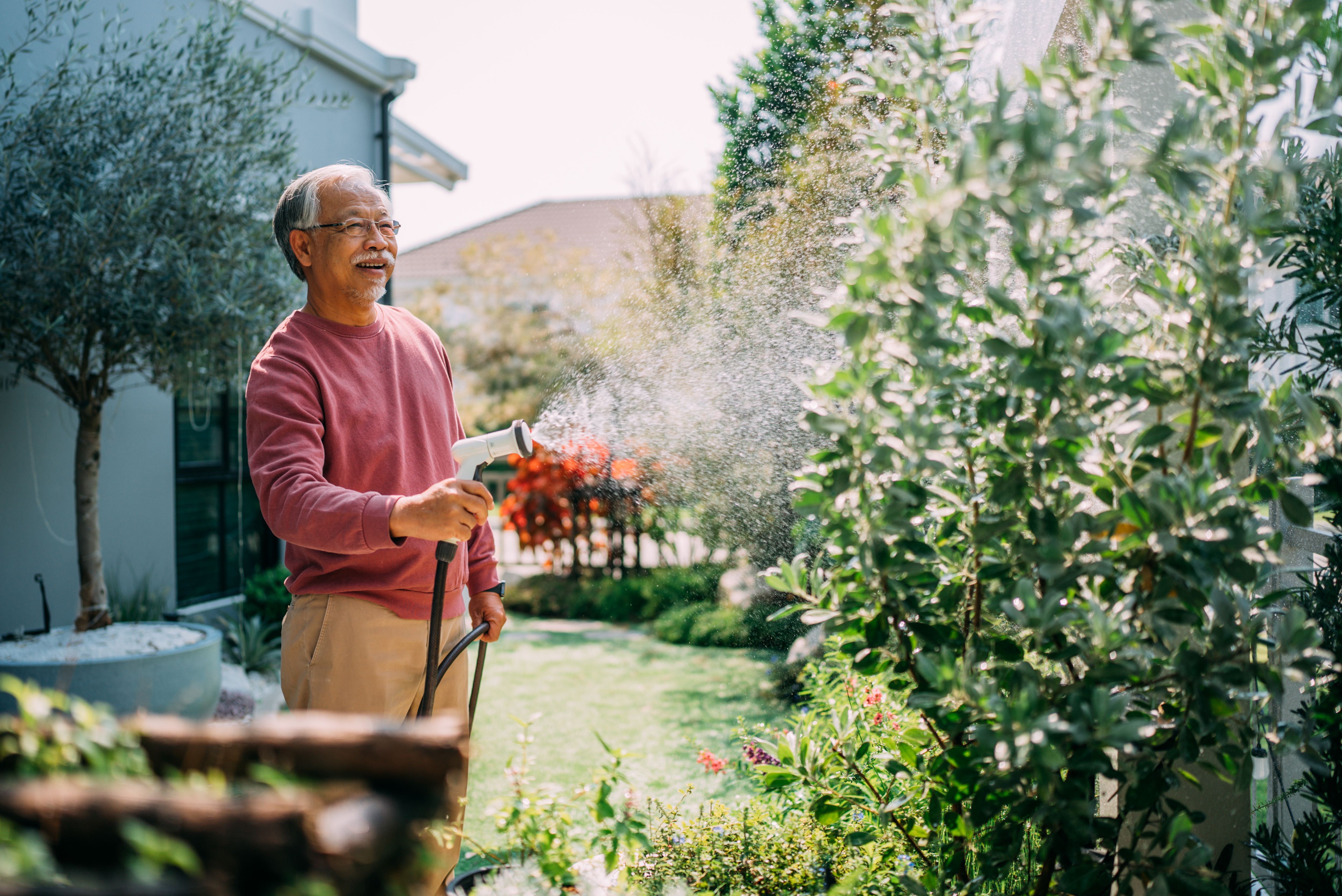 watering lawn
