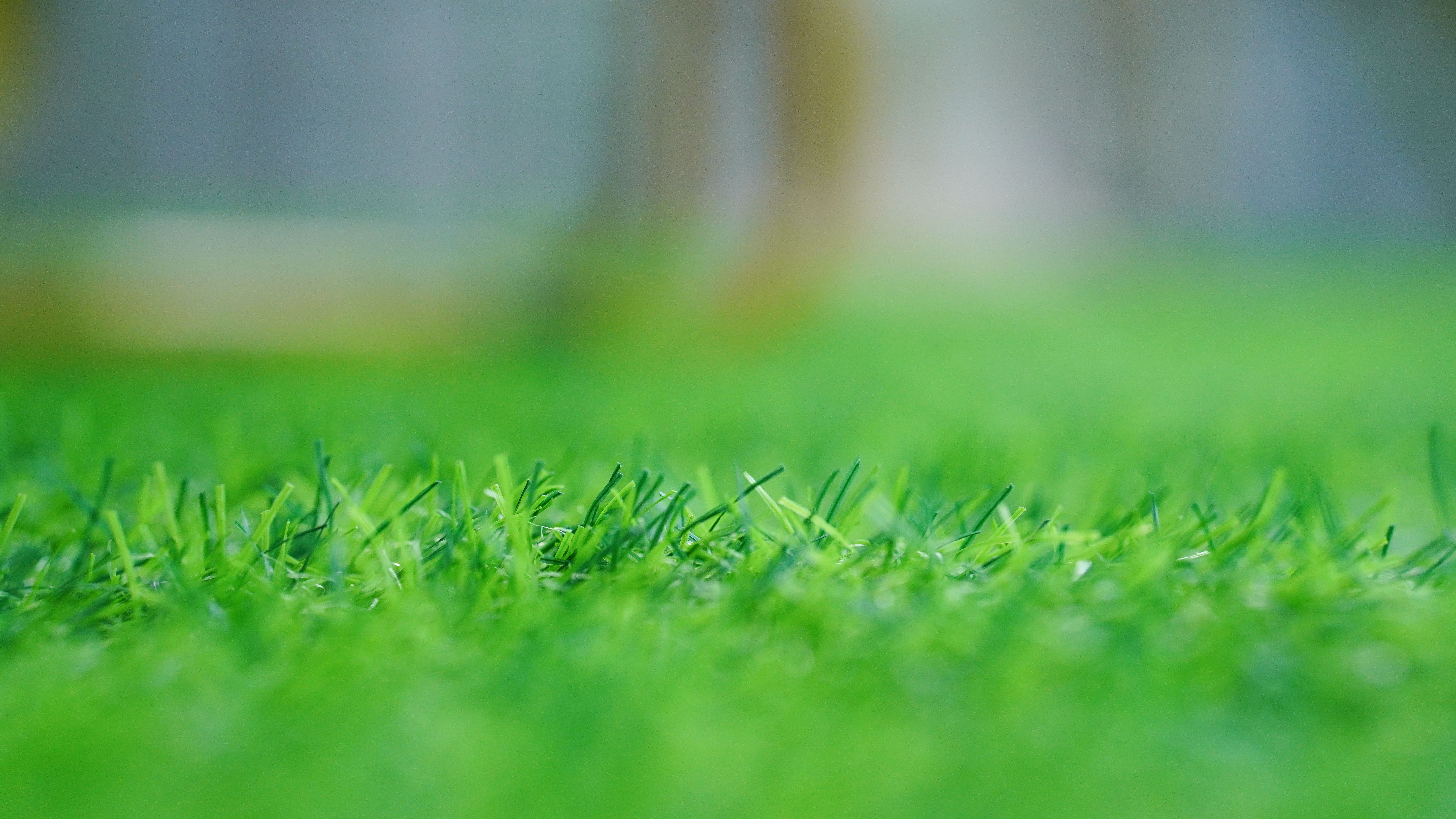 grass cutting