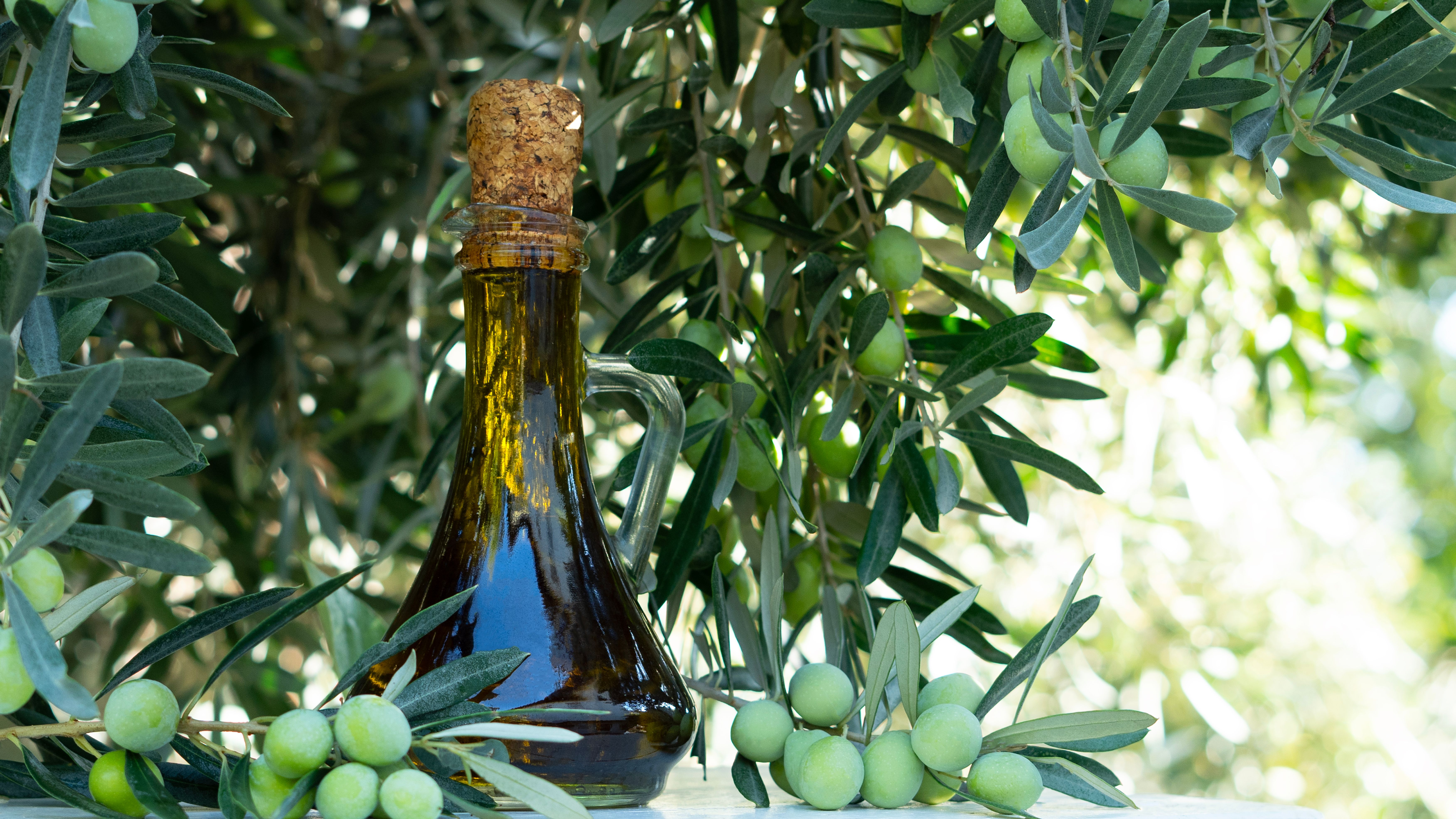 olive oil taste test