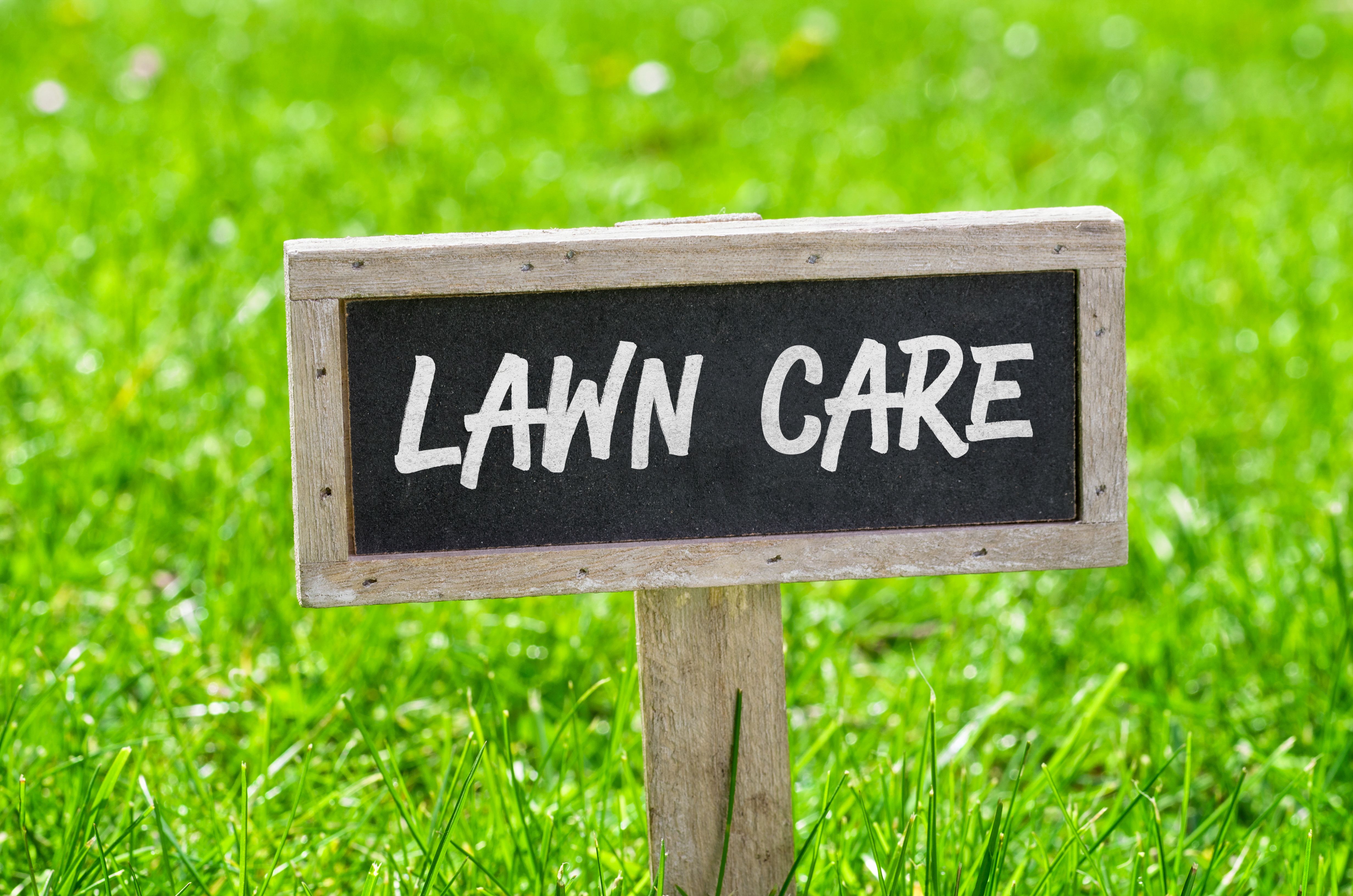 lawn care tips