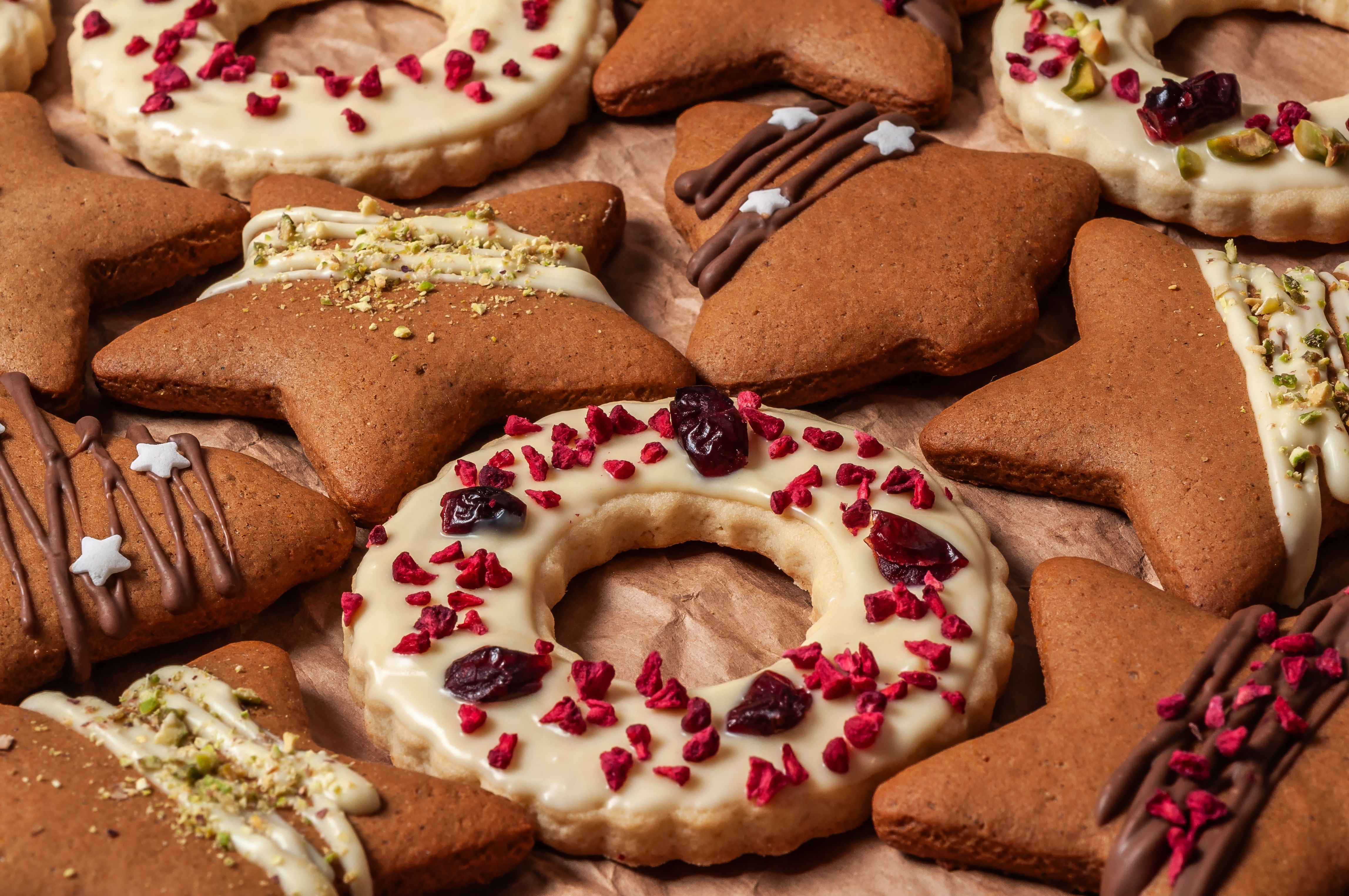 chocolate cranberry cookies